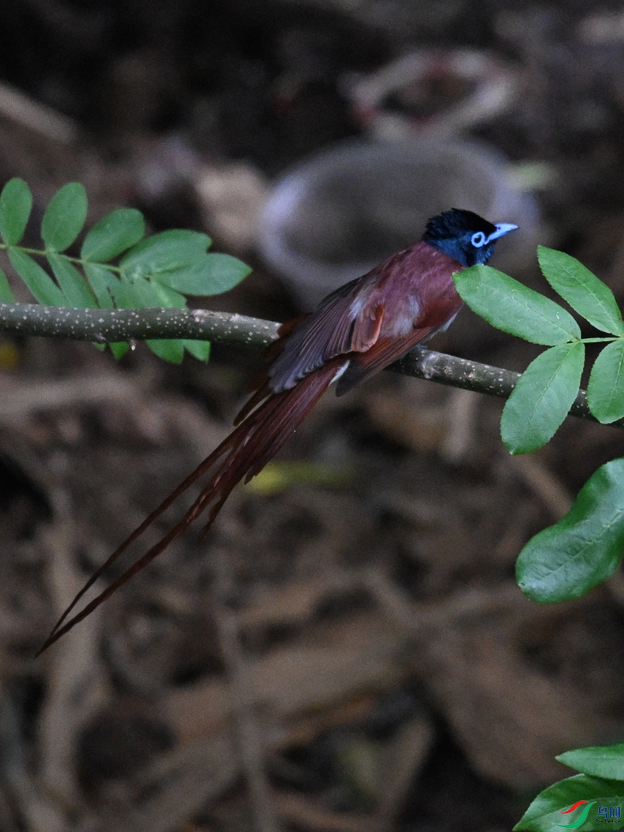 DSC_8172.JPG