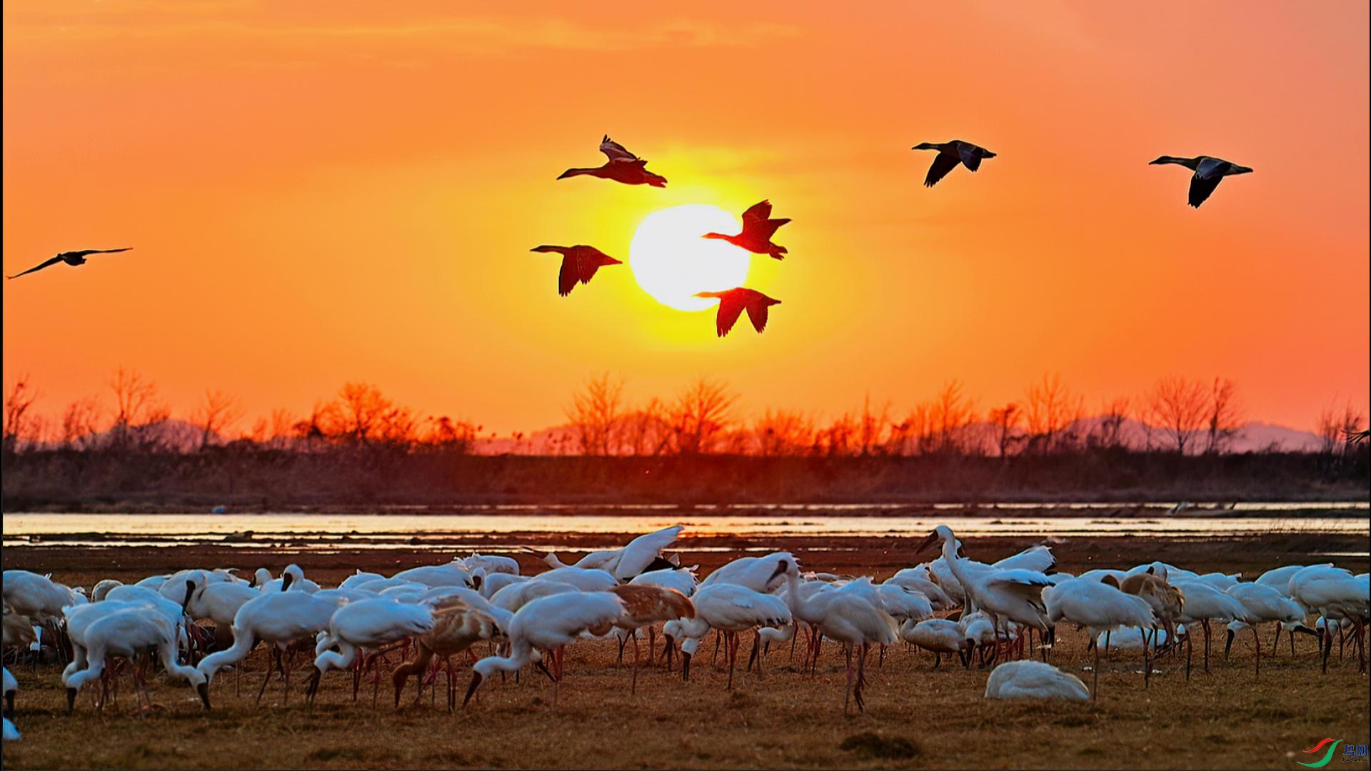 ϼӳ���ޡ���������