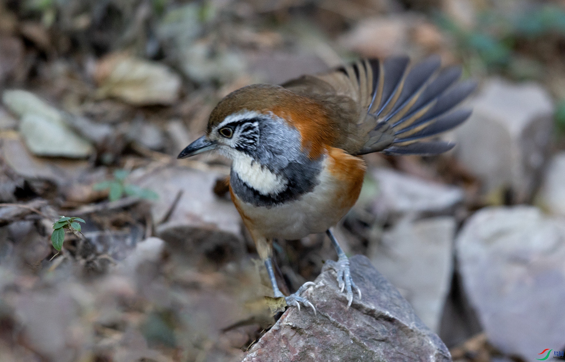 0E8A0317����  03.jpg