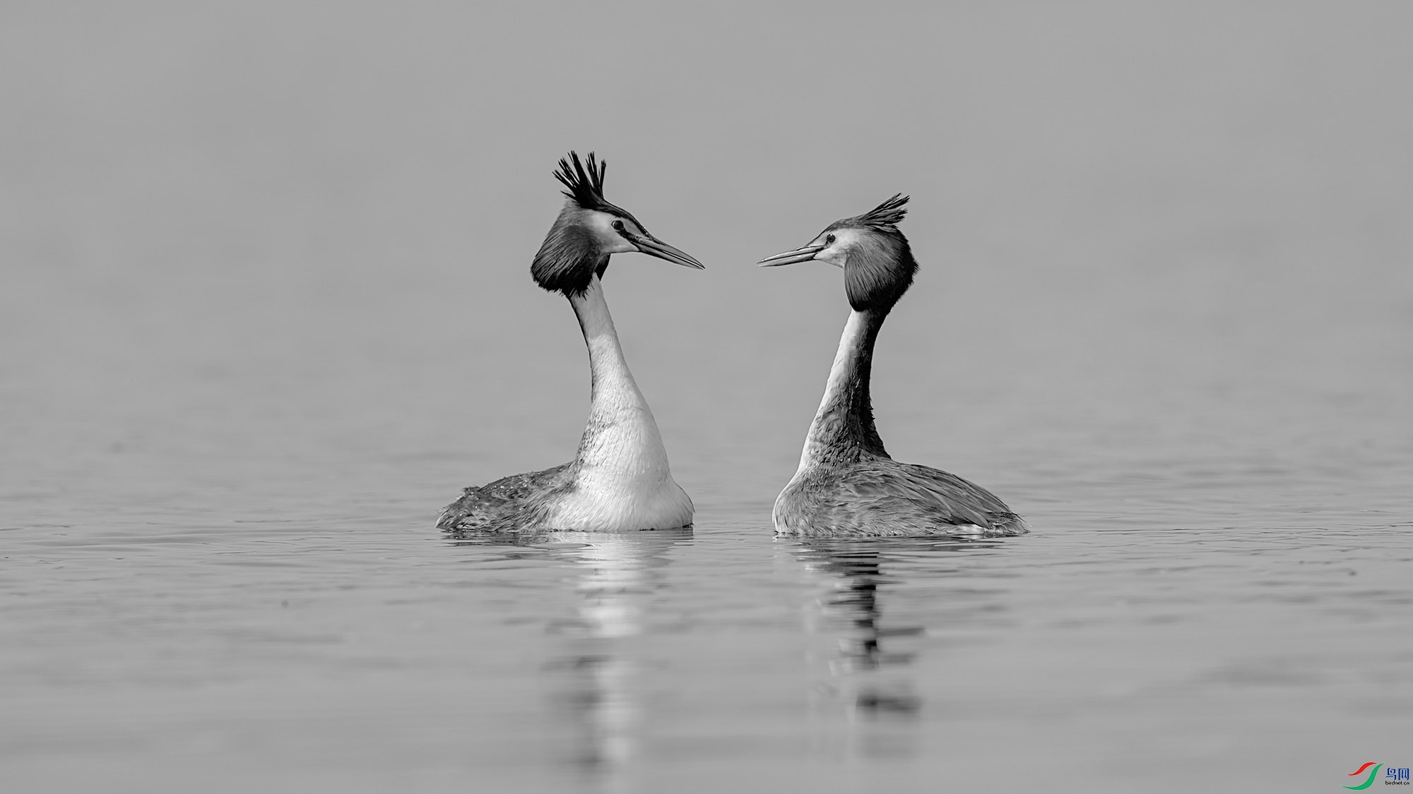 ABDSC07015 ����H.jpg