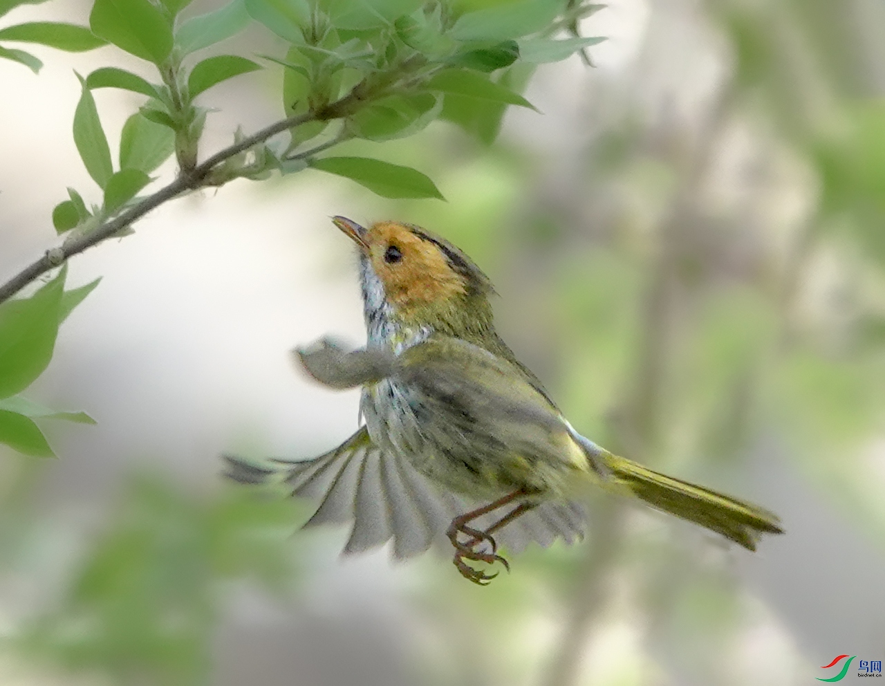 SONY DSC-RX10M4_20250328_153259.Id_800000000001778.jpg