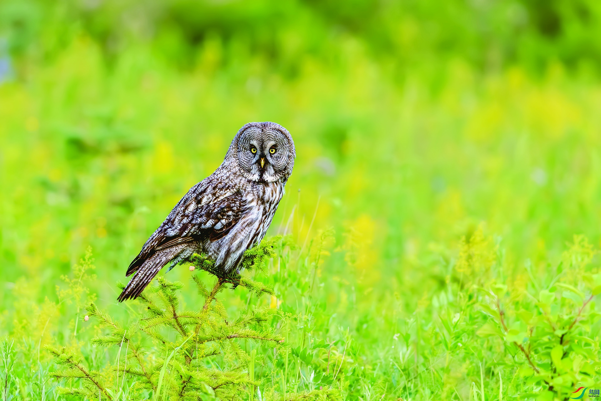 20251122�������� ����.jpg