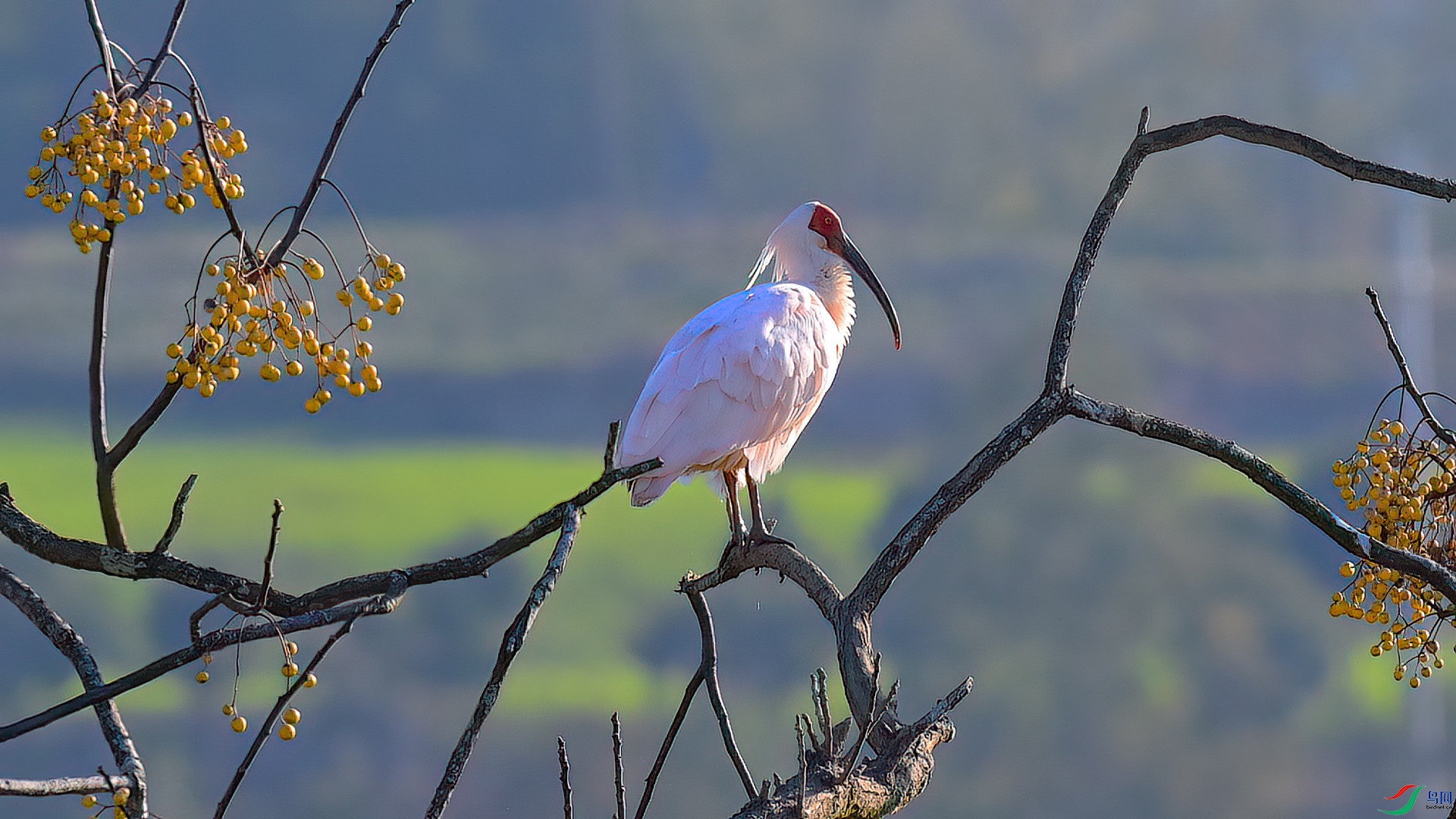 11��21�� (1).jpg