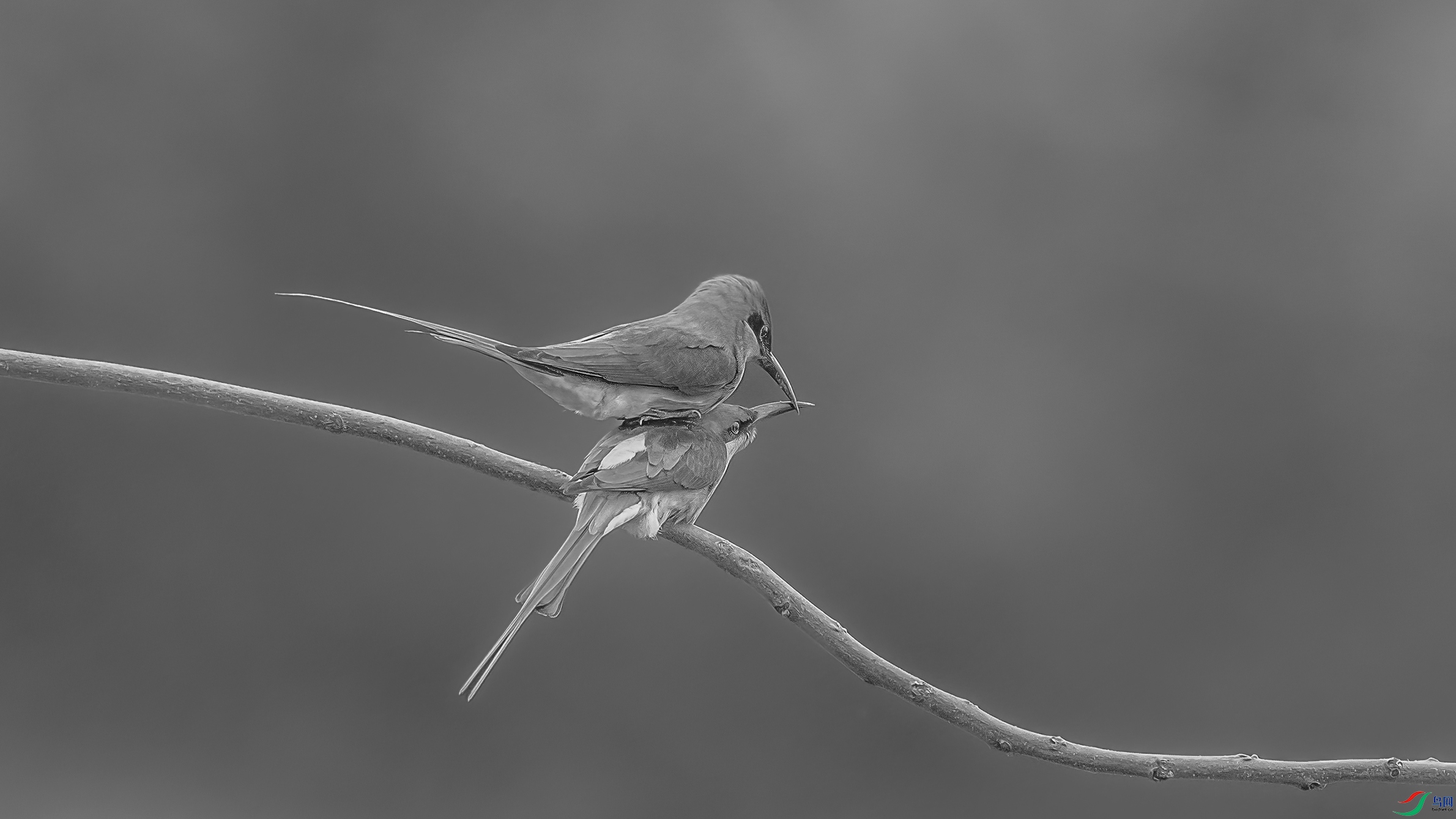 AE1V4868 ����1.jpg