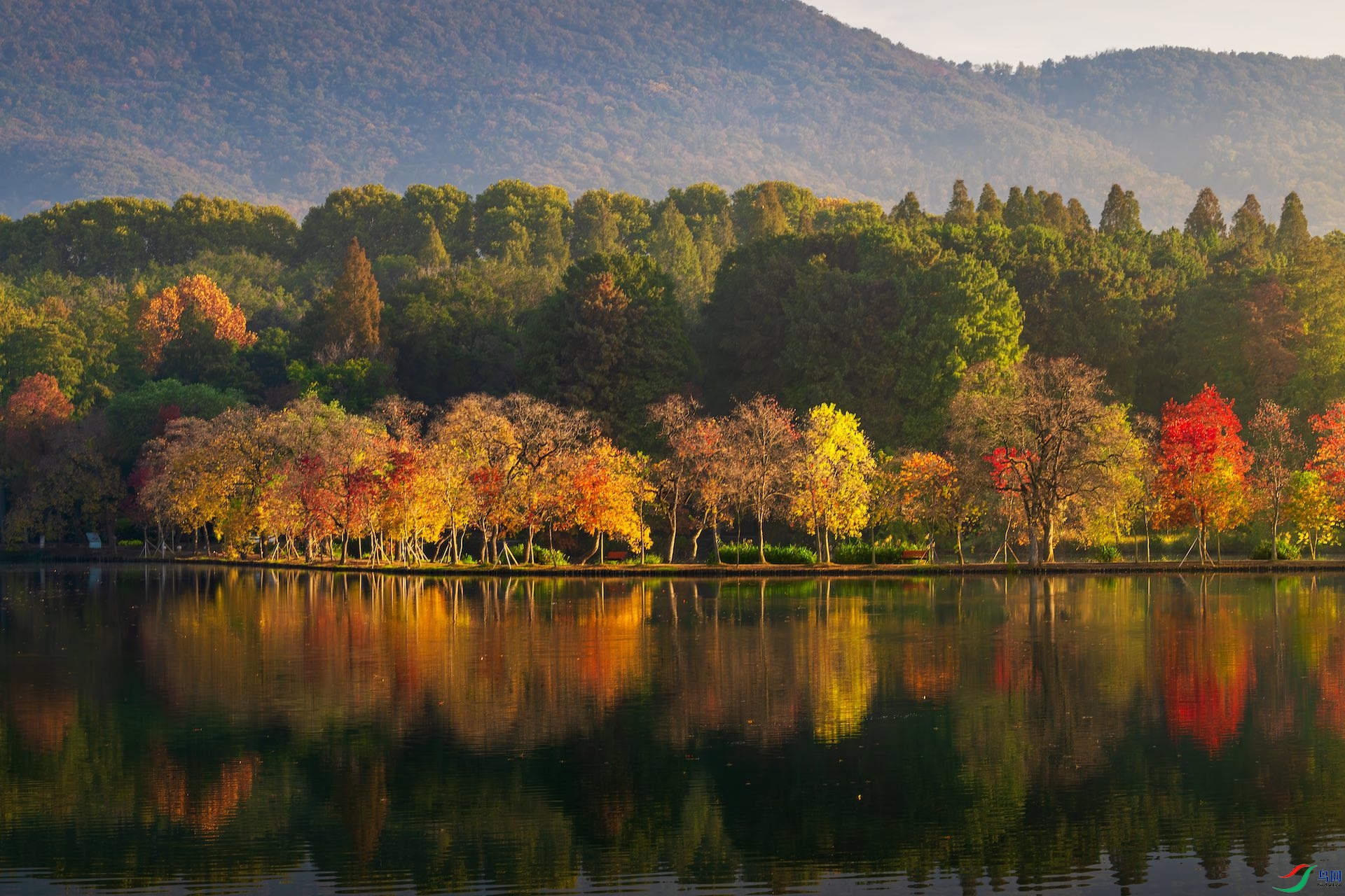 1_DSC0120-����ǿ-NR-1 2.jpeg