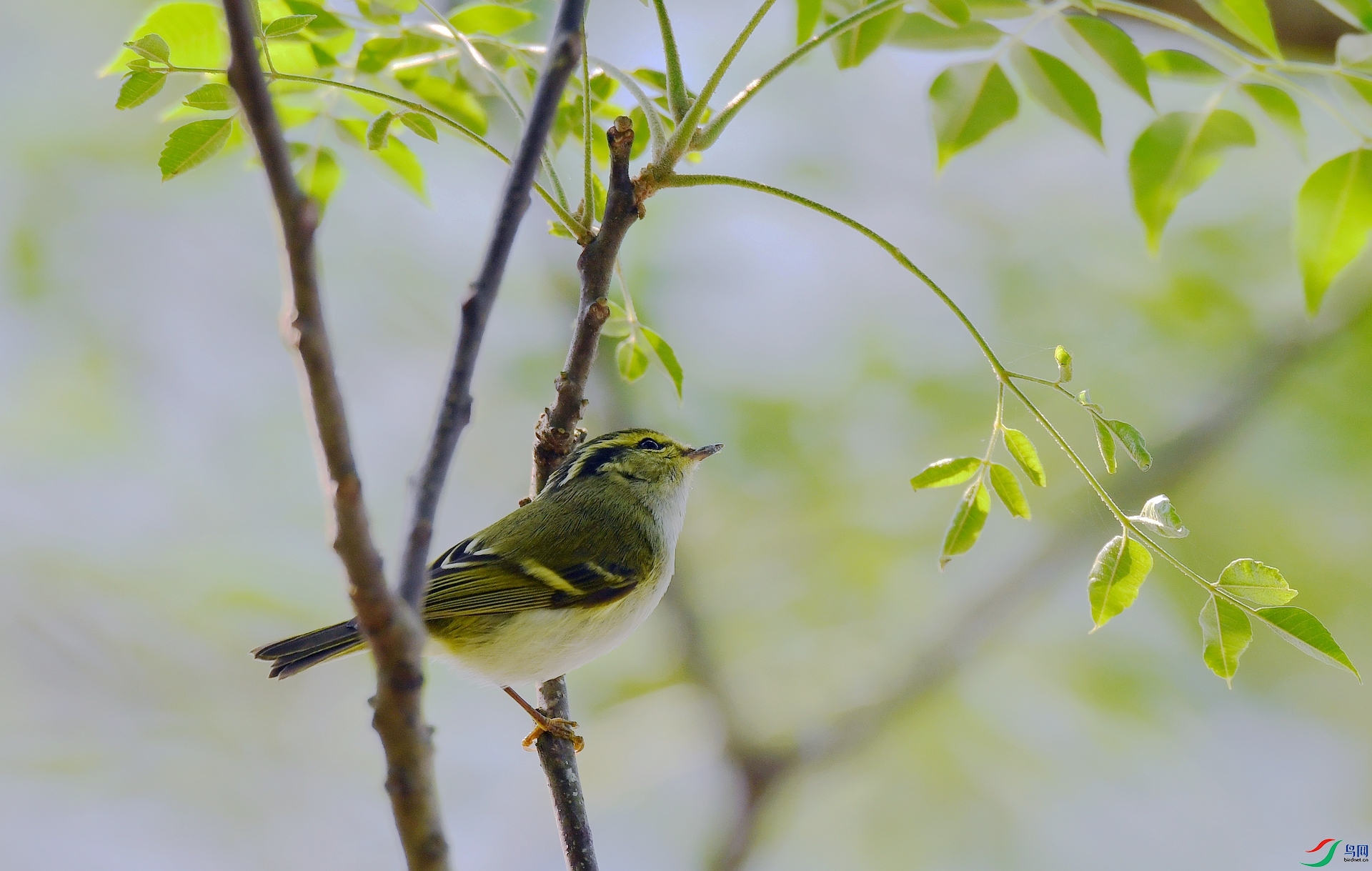 DSC_2392.jpg