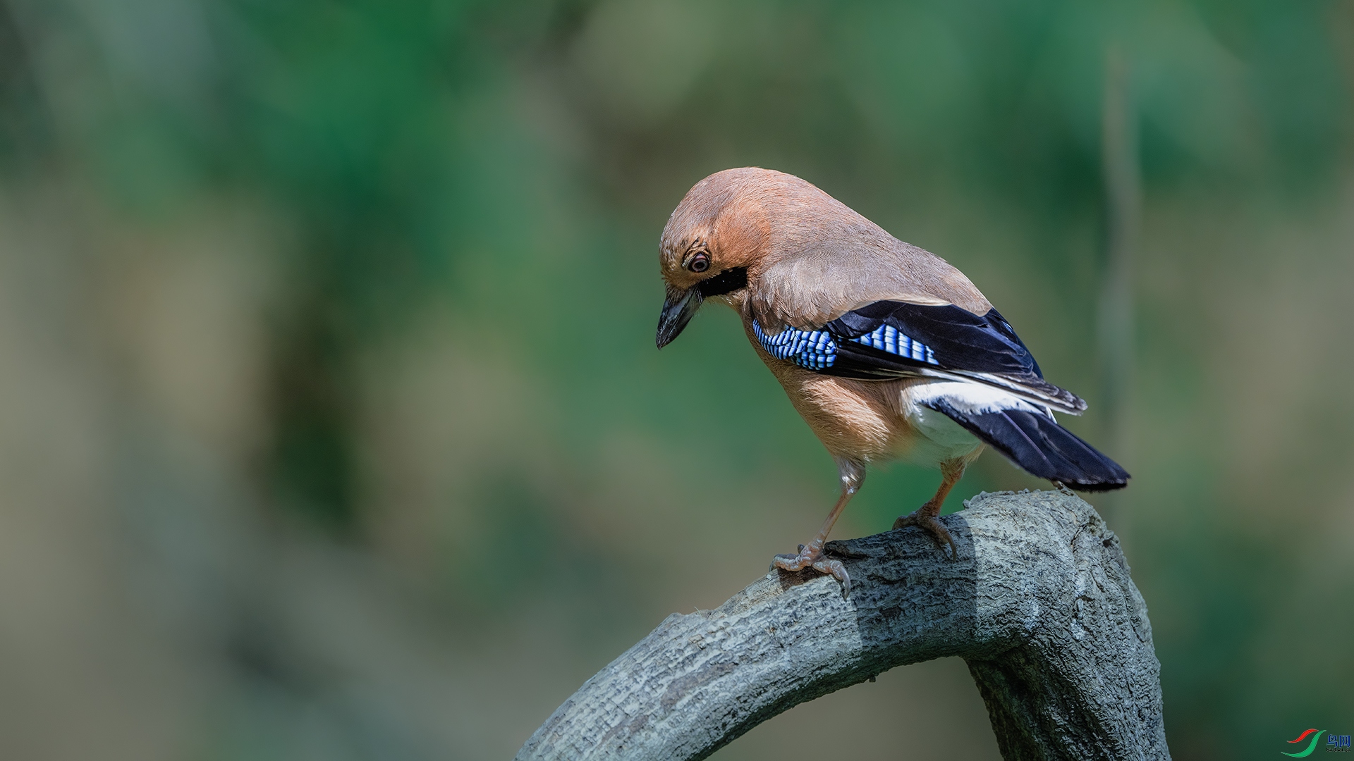 DSC_9128 ����.jpg