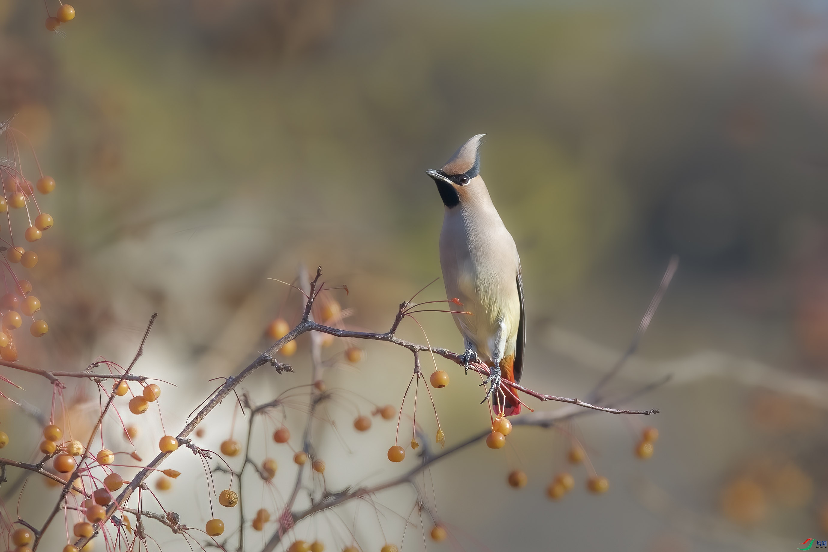 DSC_7092 ����.jpg