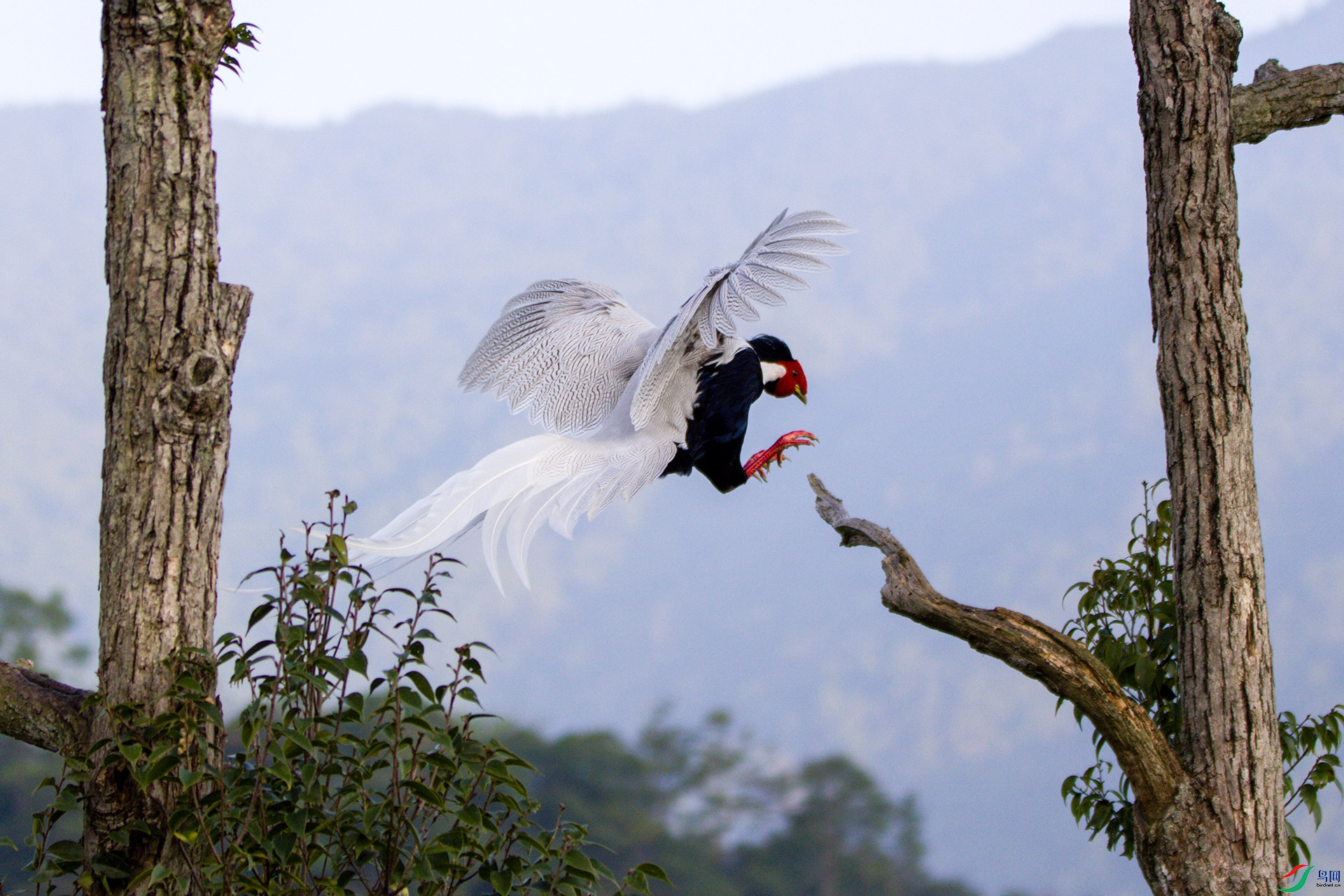 2H6A0934 ����1_����.jpg