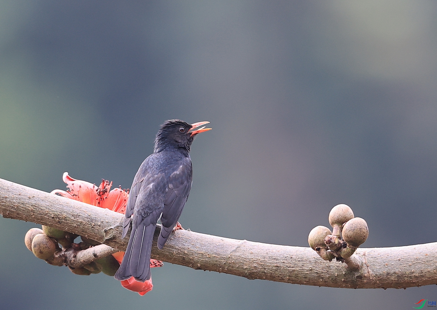 AK1I3470�� ��1.JPG