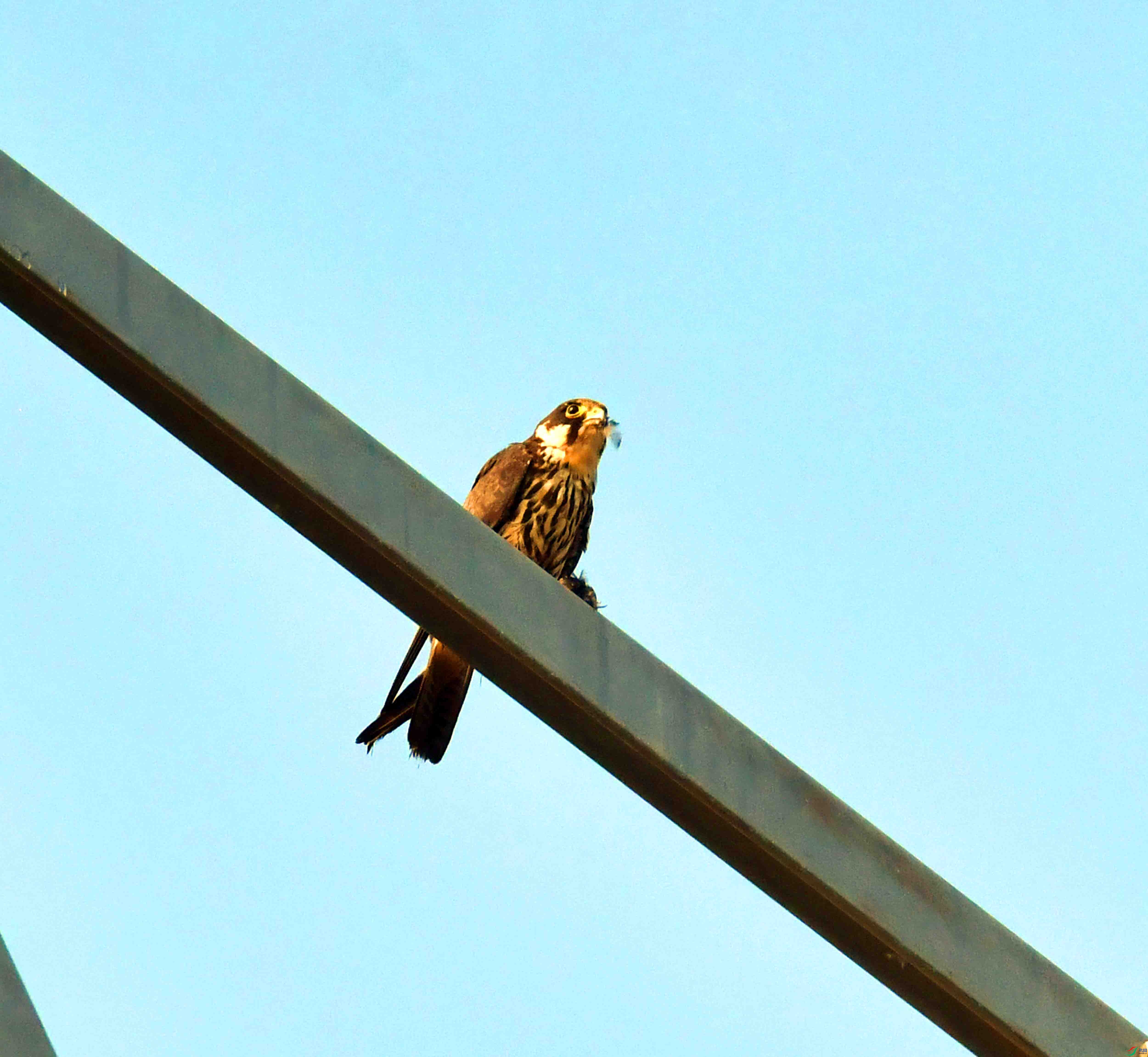 DSC_1360.JPG