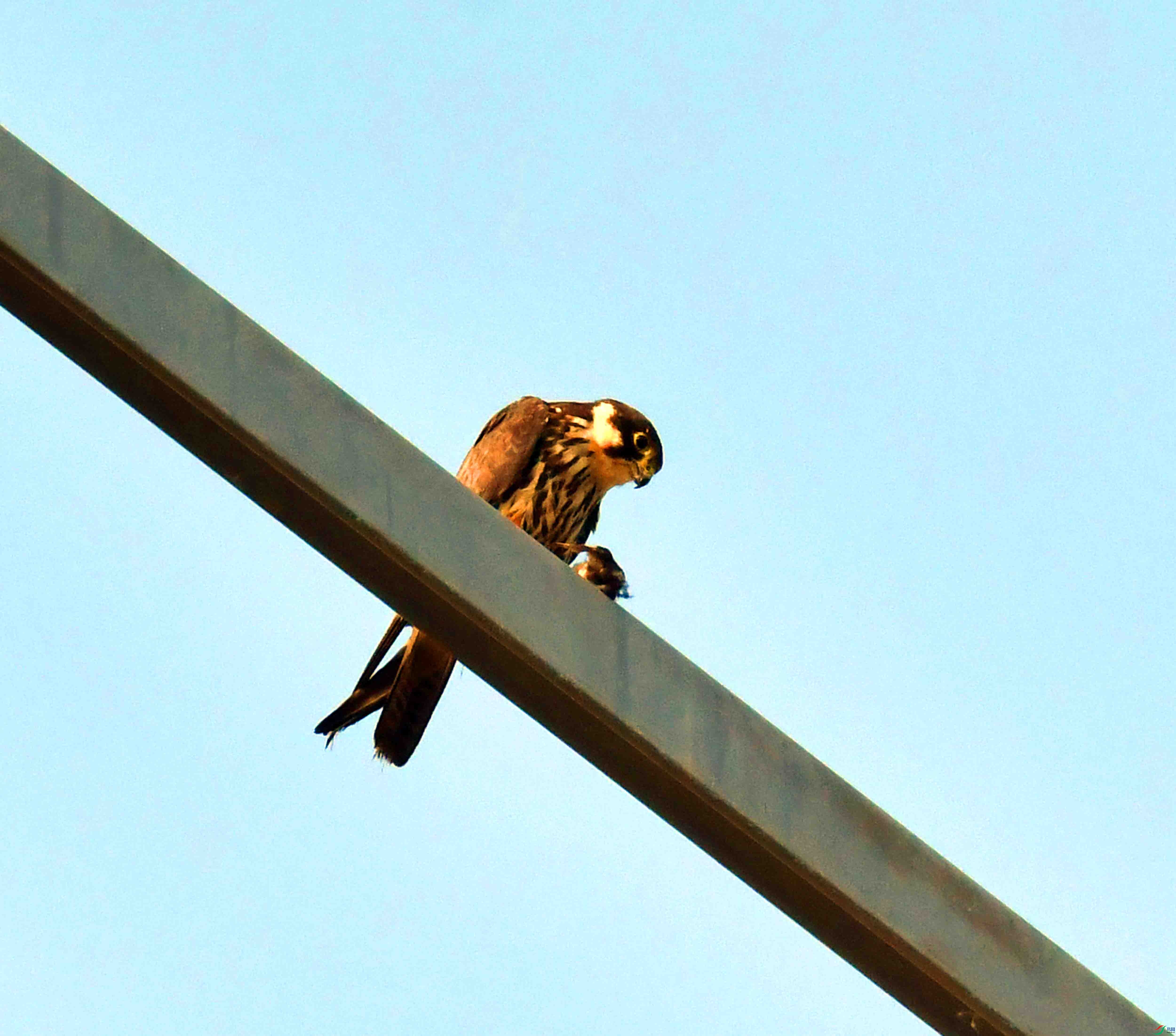 DSC_1366.JPG
