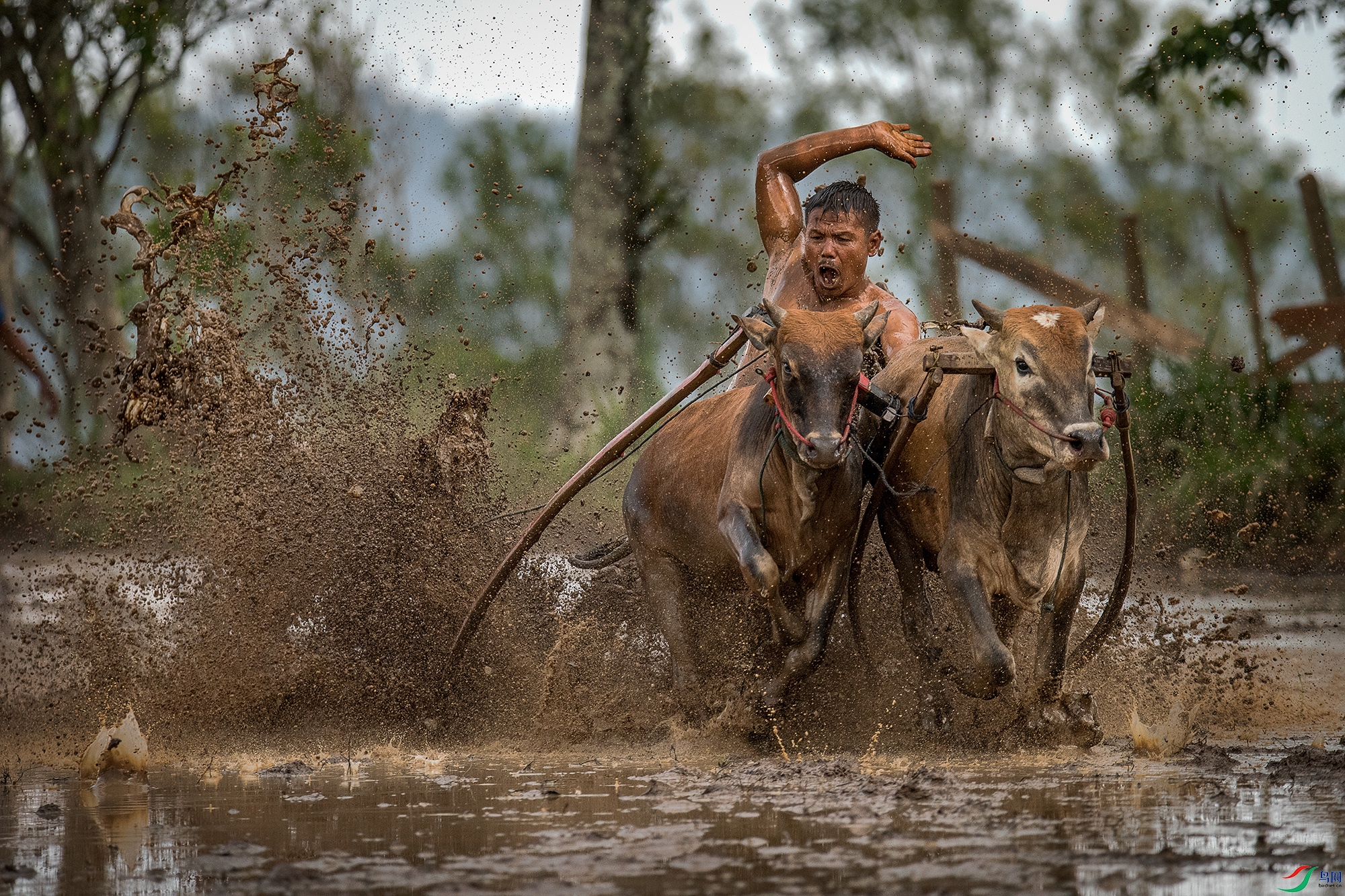 _DSC7211a ����.jpg