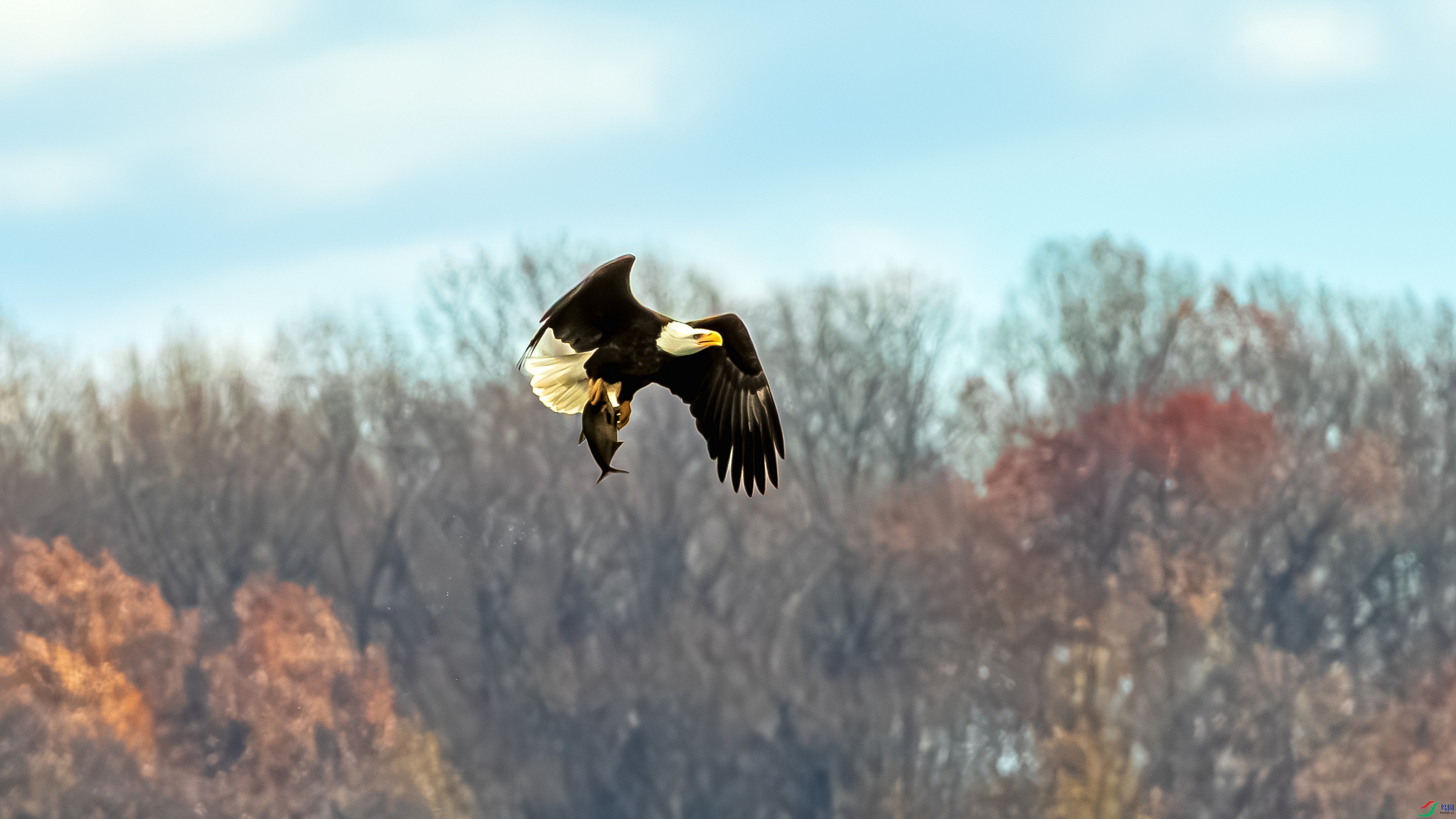 9C6A3739-1-2_����=00.jpg