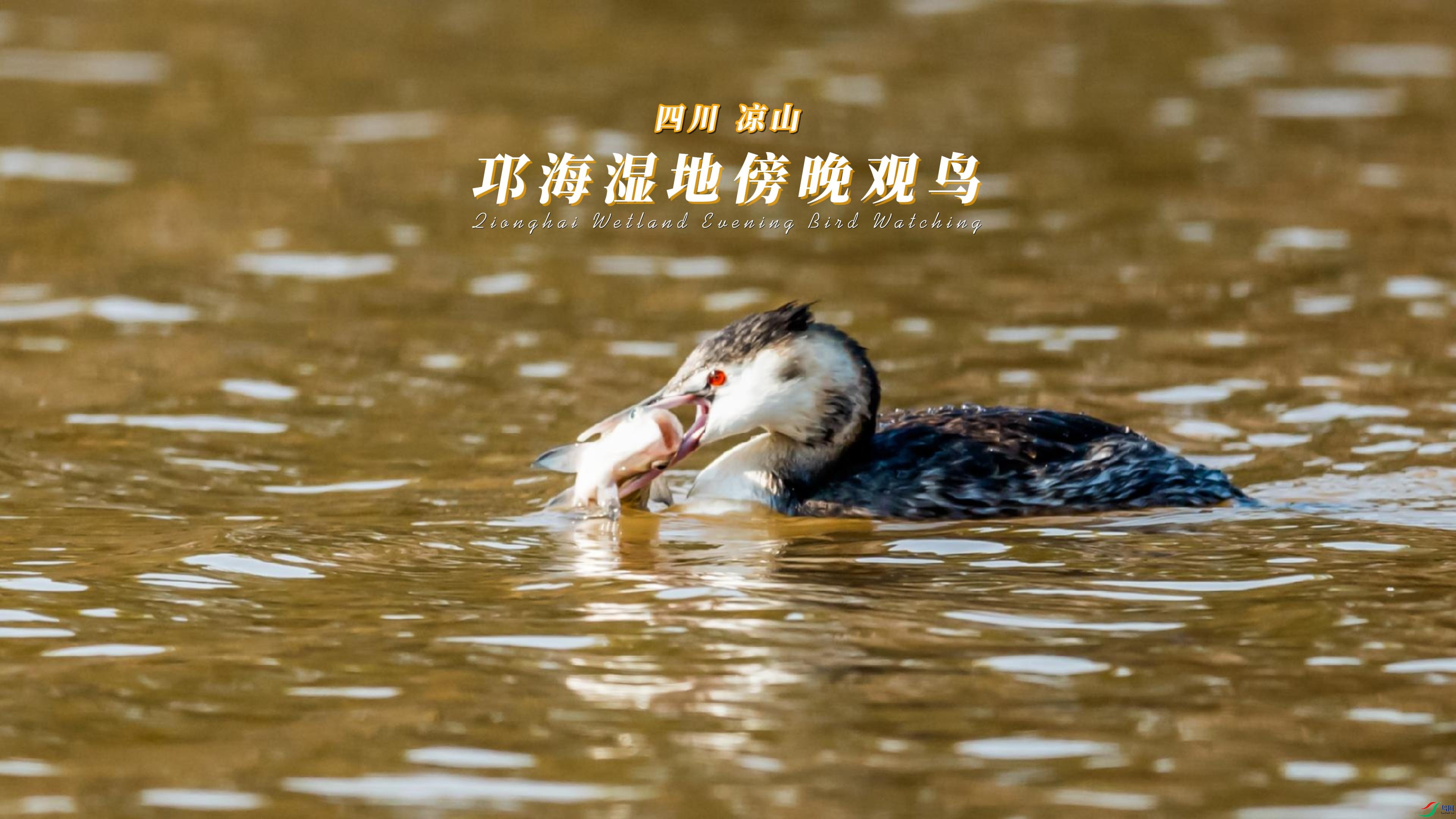 �Ĵ� ��ɽ ����ʪ�ذ�������-����.jpg