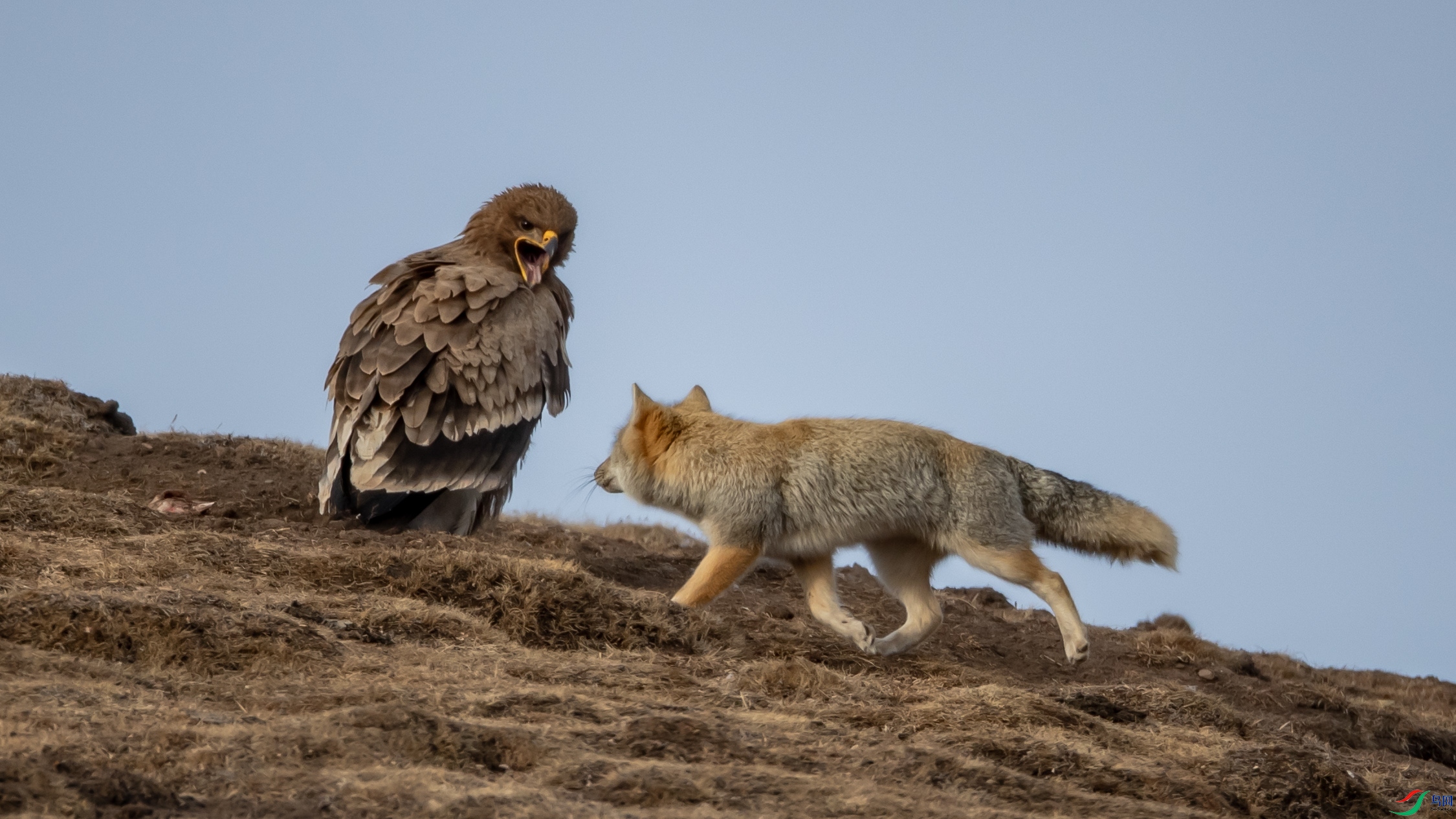 B26I6164 ��ԭ��=�غ�124.jpg