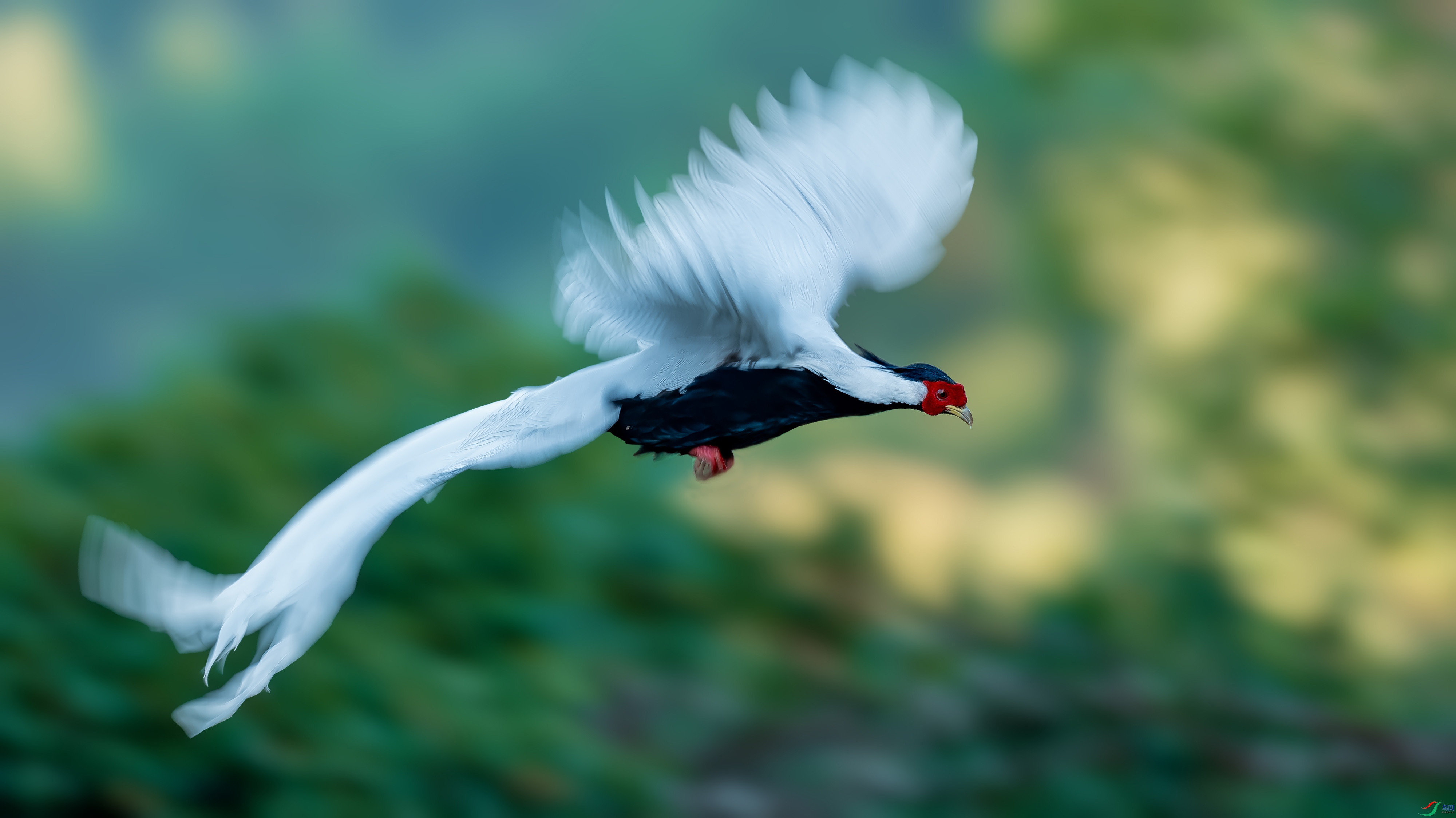 DSC06132 ����.jpg