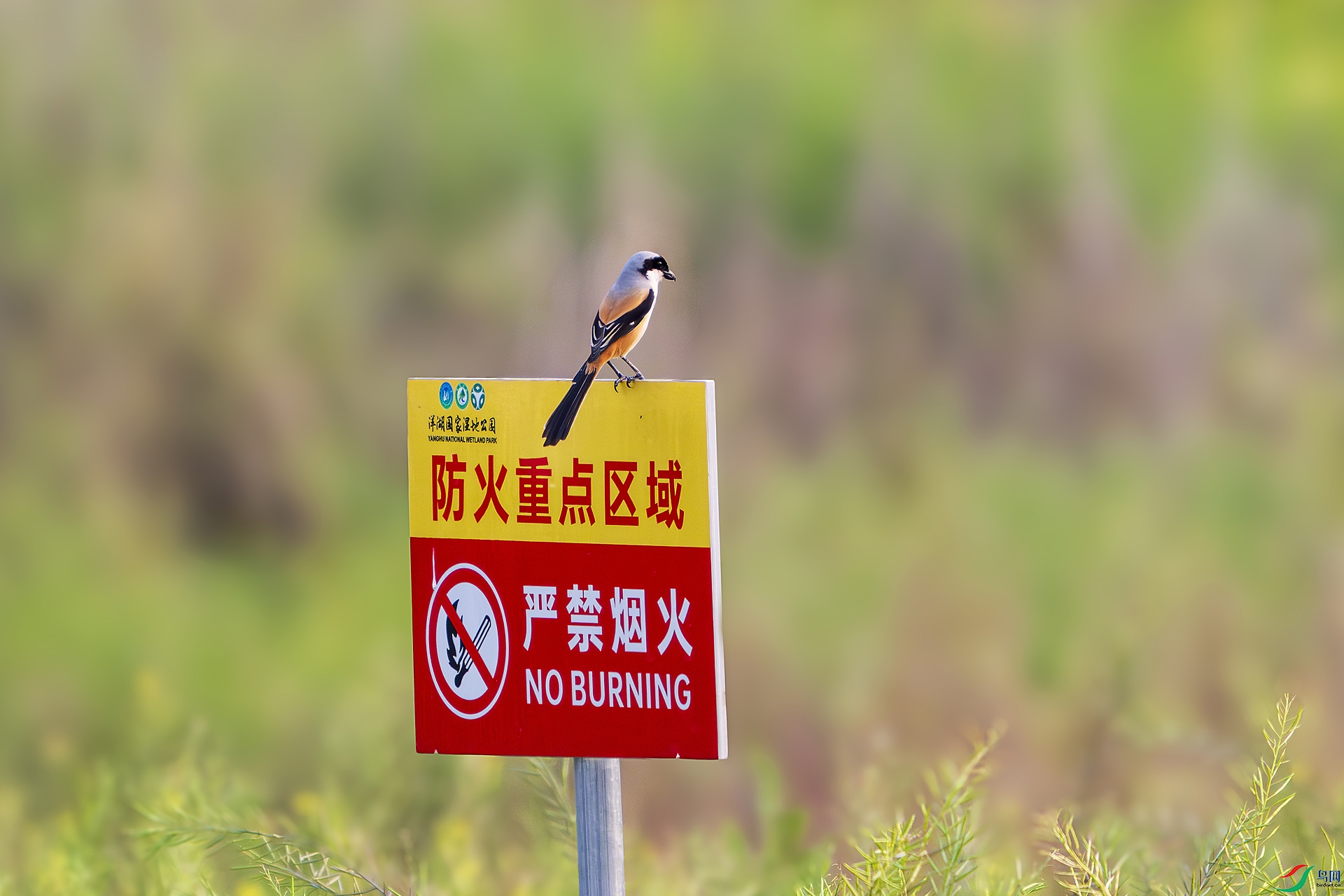 _DSC0535 ���� 2.jpg