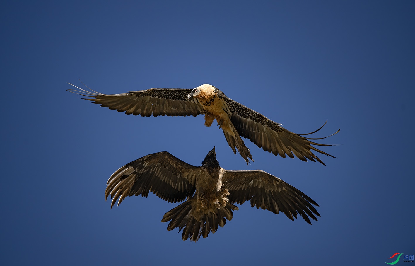 _DSC4360-����ǿ-NR ����.jpg