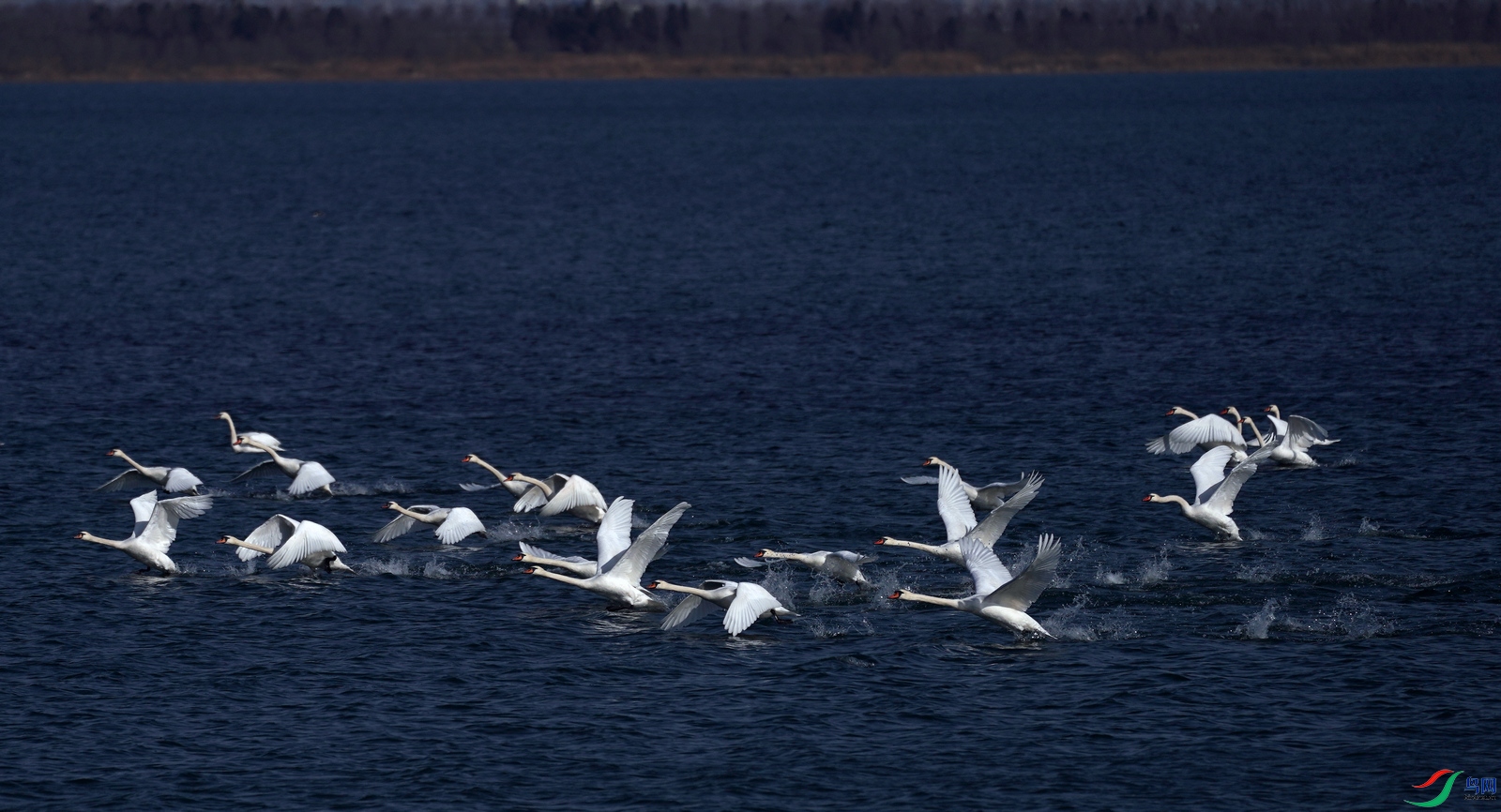 DSC05022.jpg