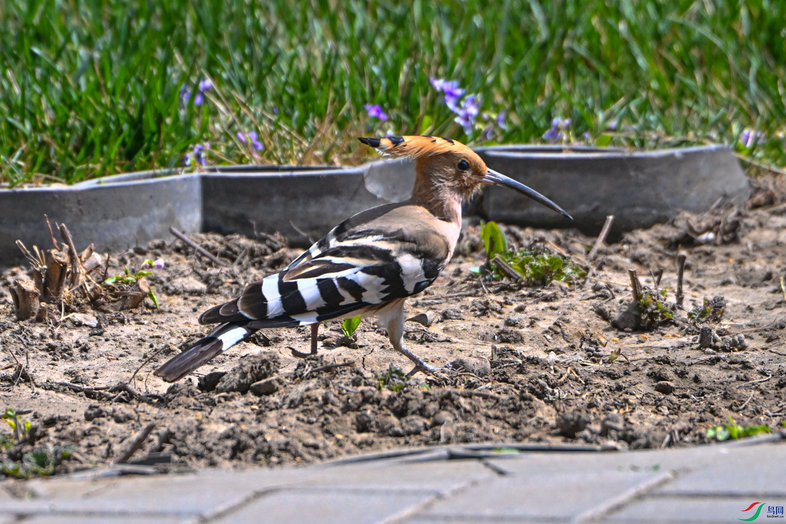 DSC_0706_3.jpg