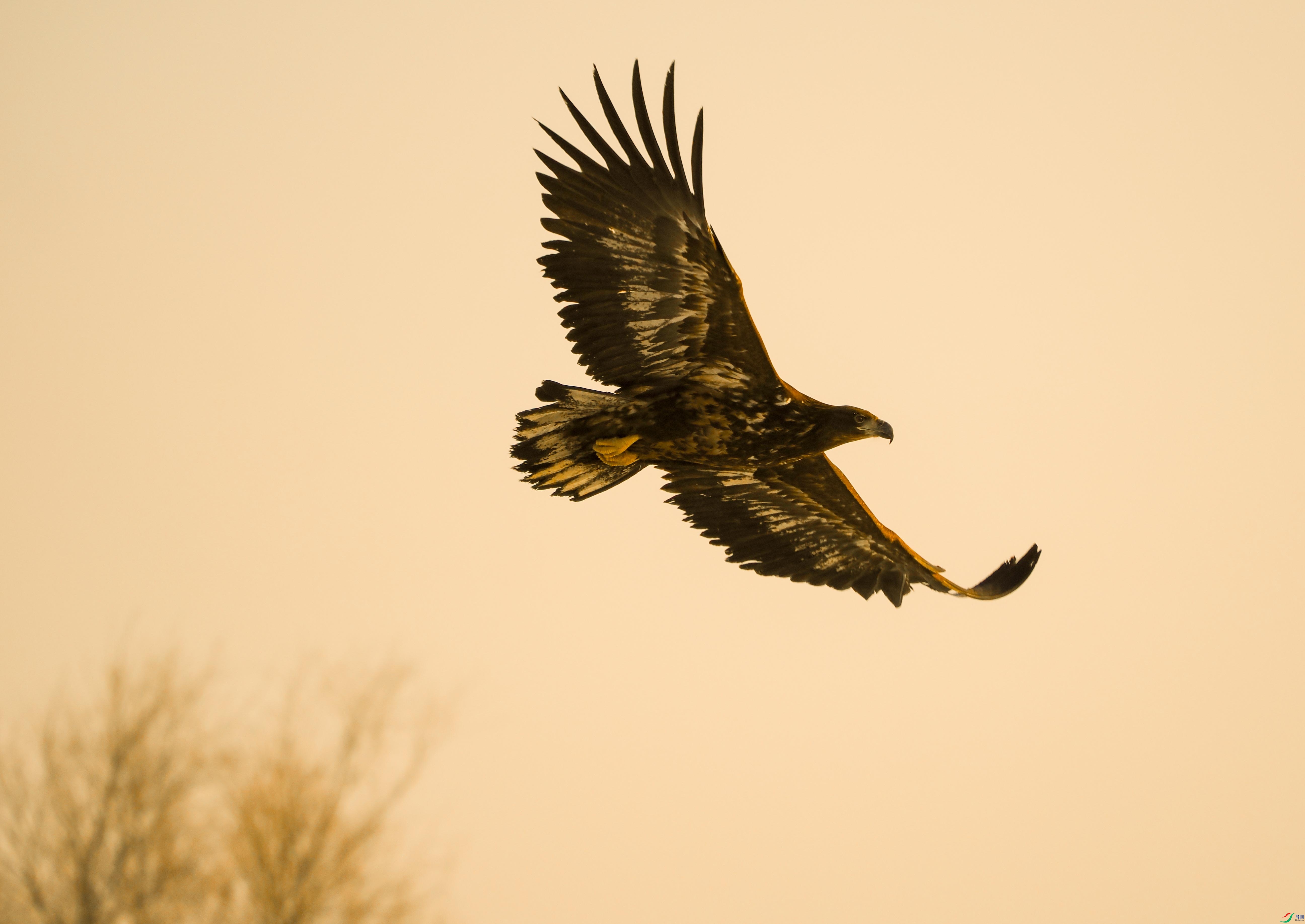 1-xtP2101678 ����.jpg