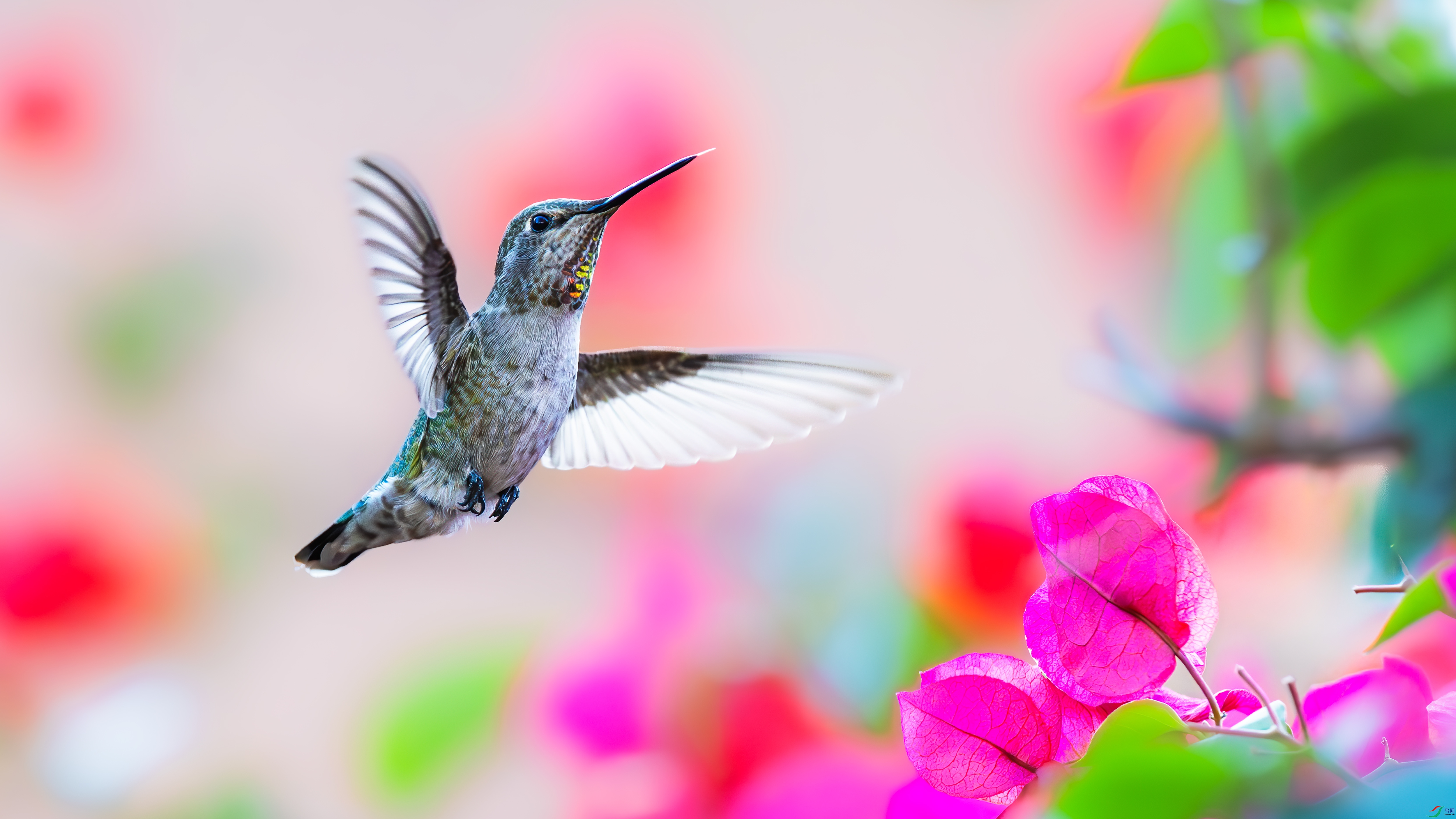 ����ߢ��