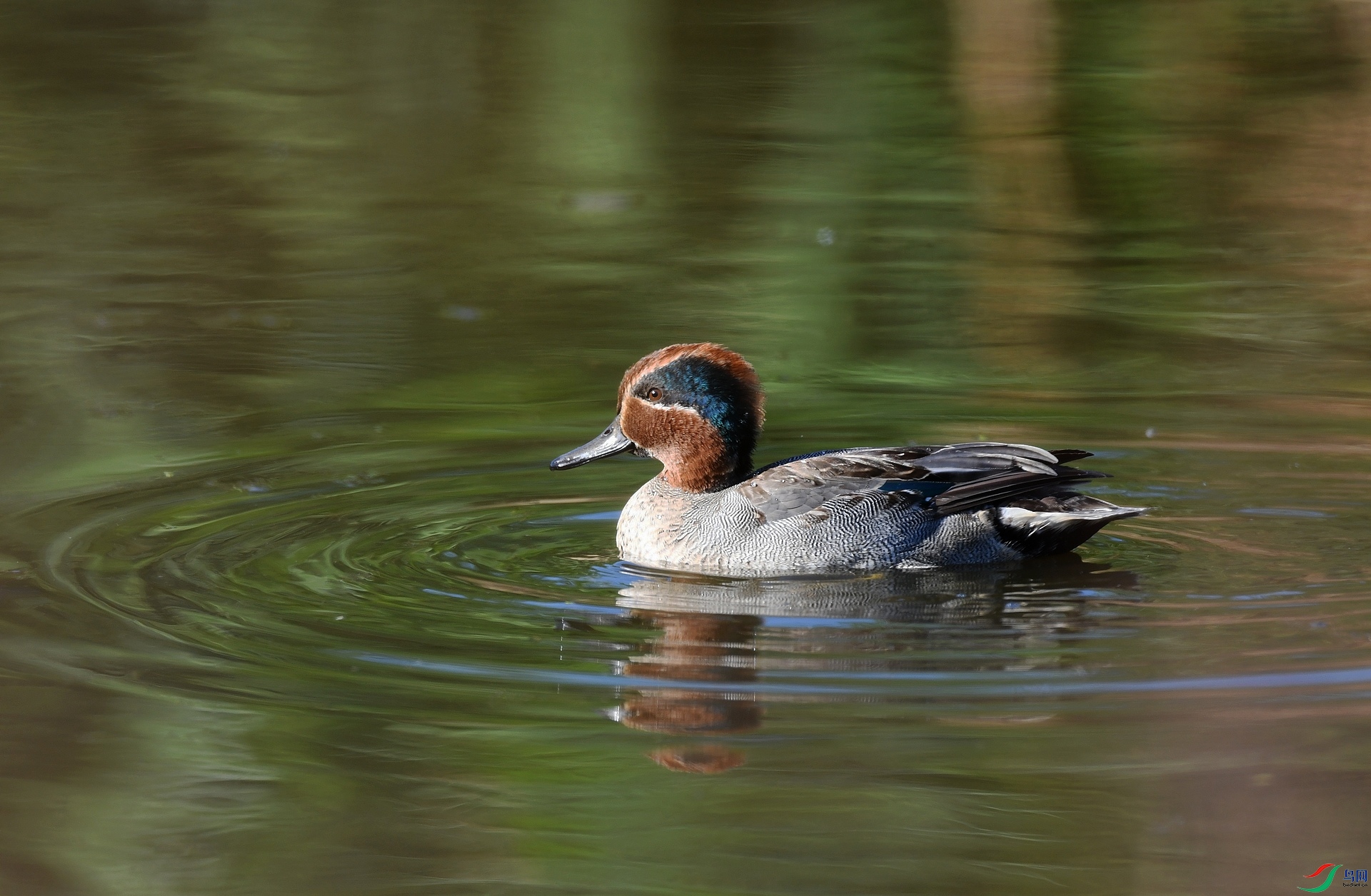 DSC_4372.jpg