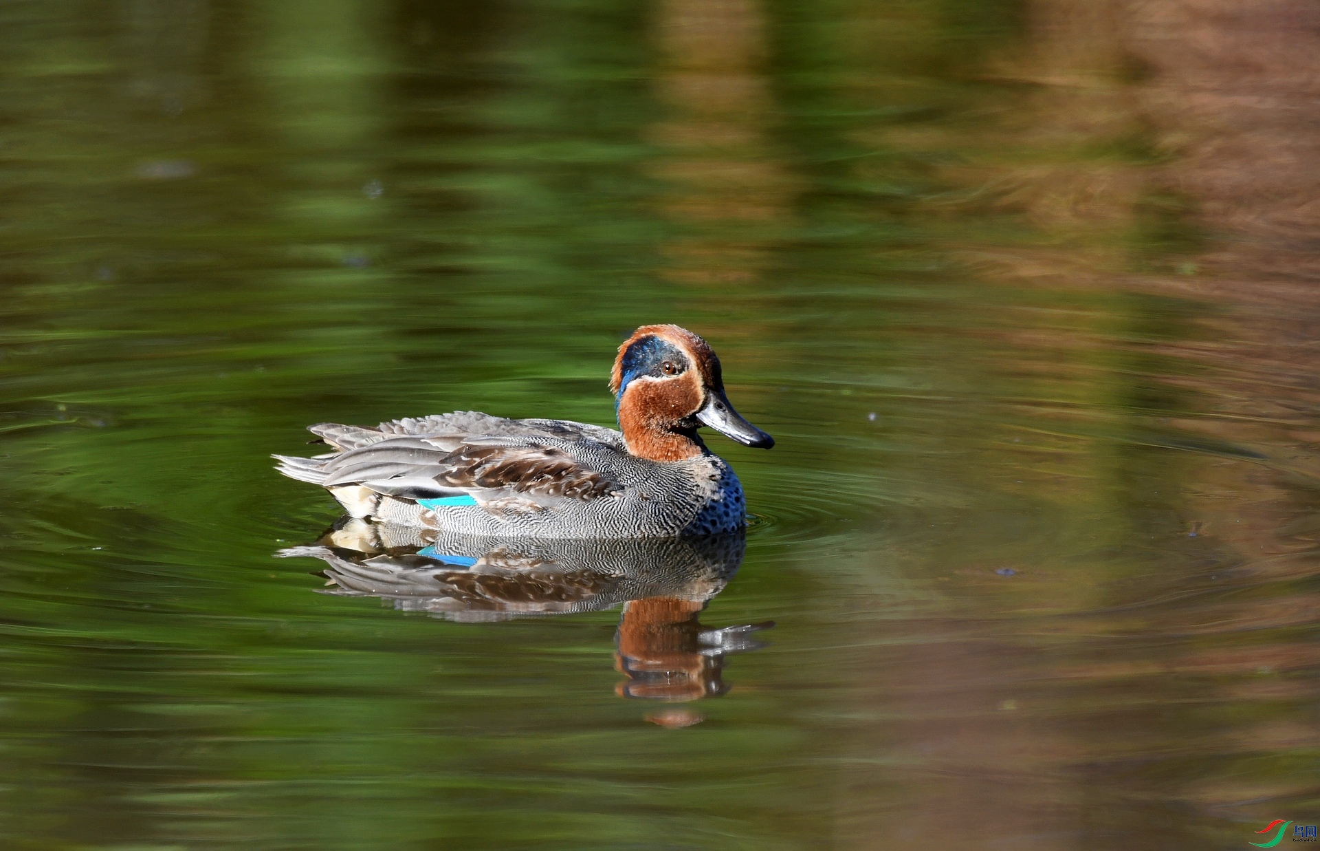 DSC_4378.jpg