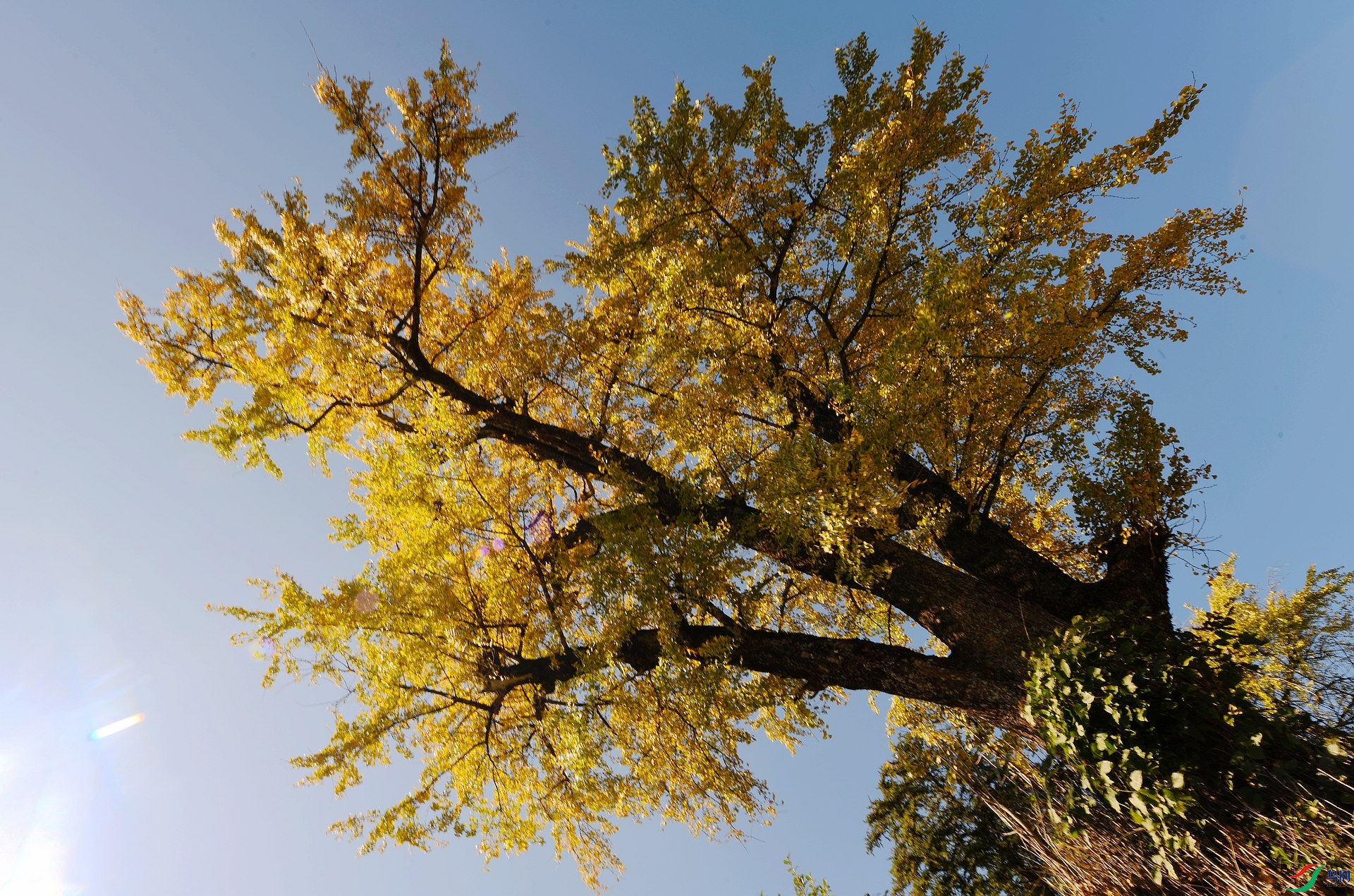 DSC_5148.jpg