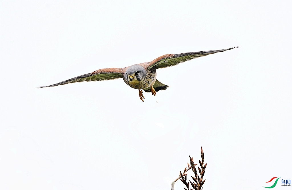 DSC_1428.JPG