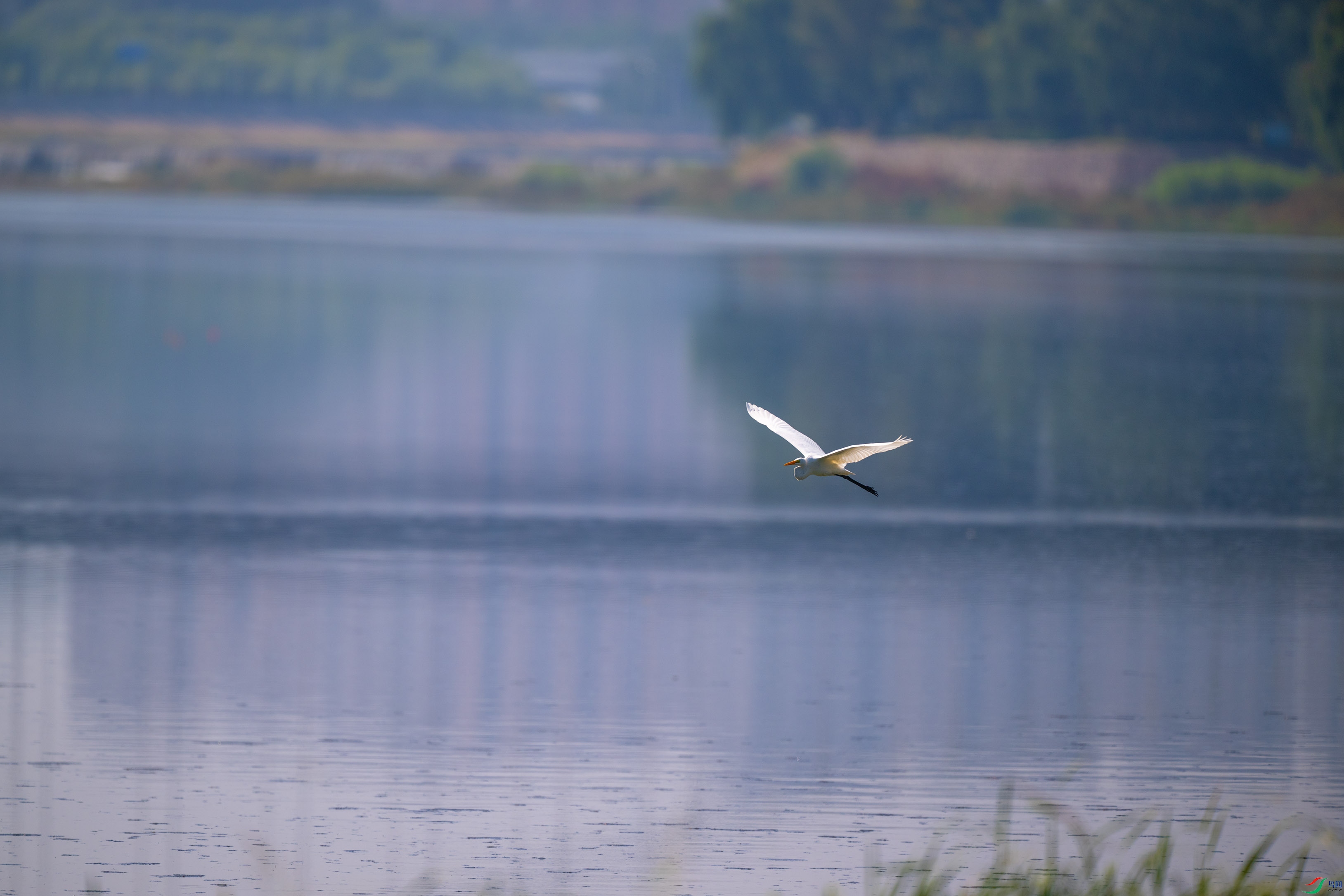 DSC_9443.jpg