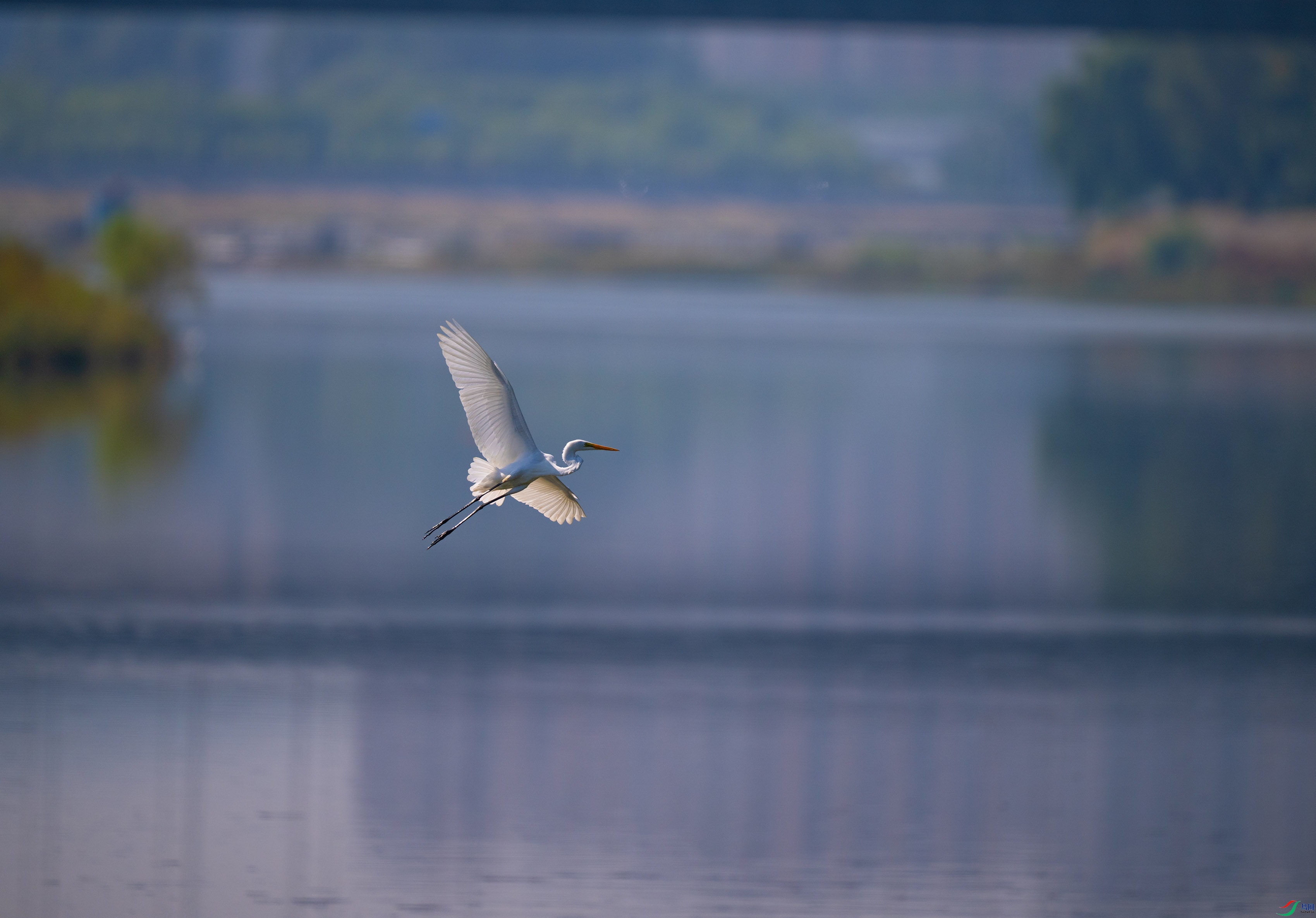 DSC_9459.jpg
