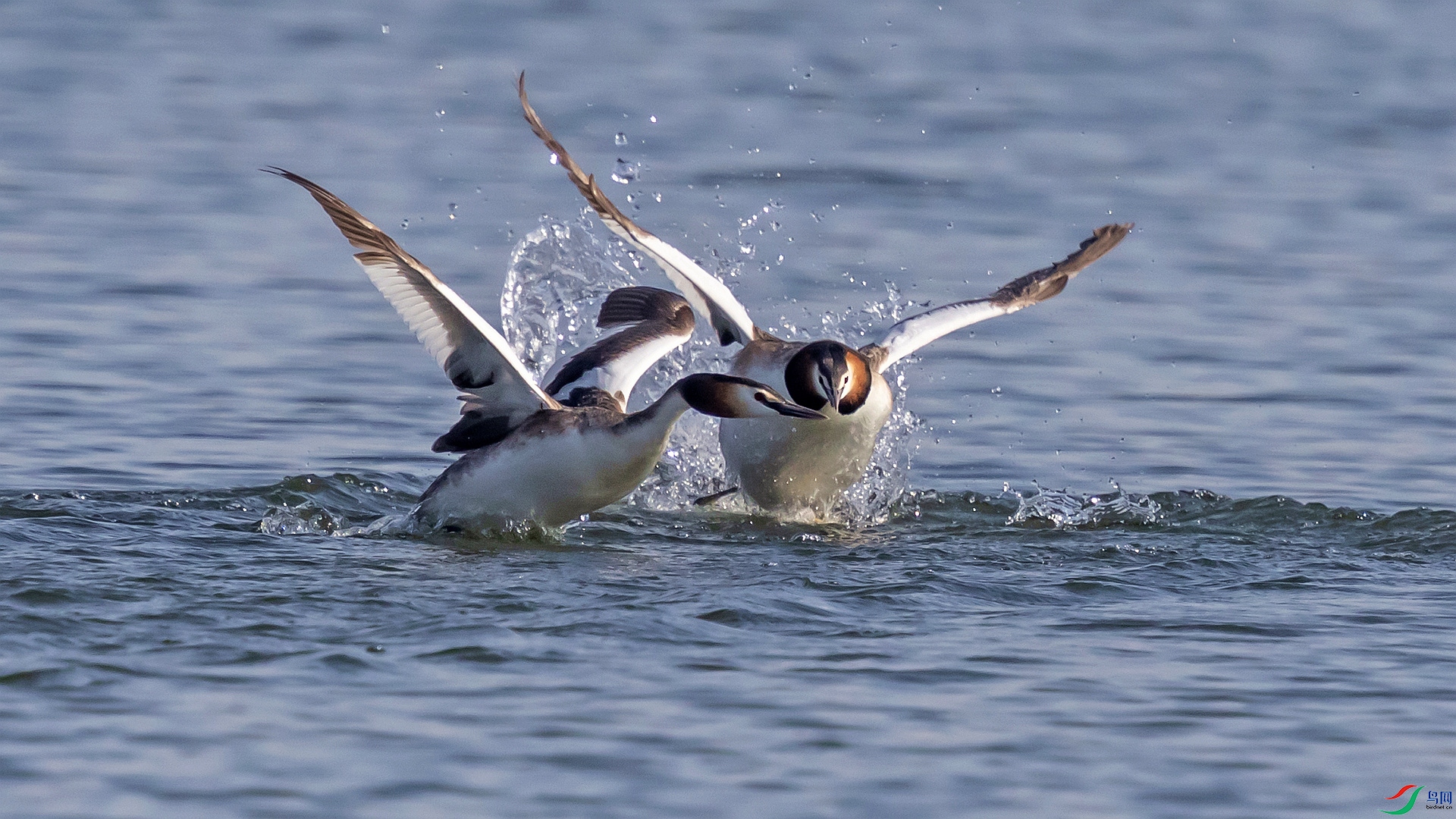 ��ͷ����