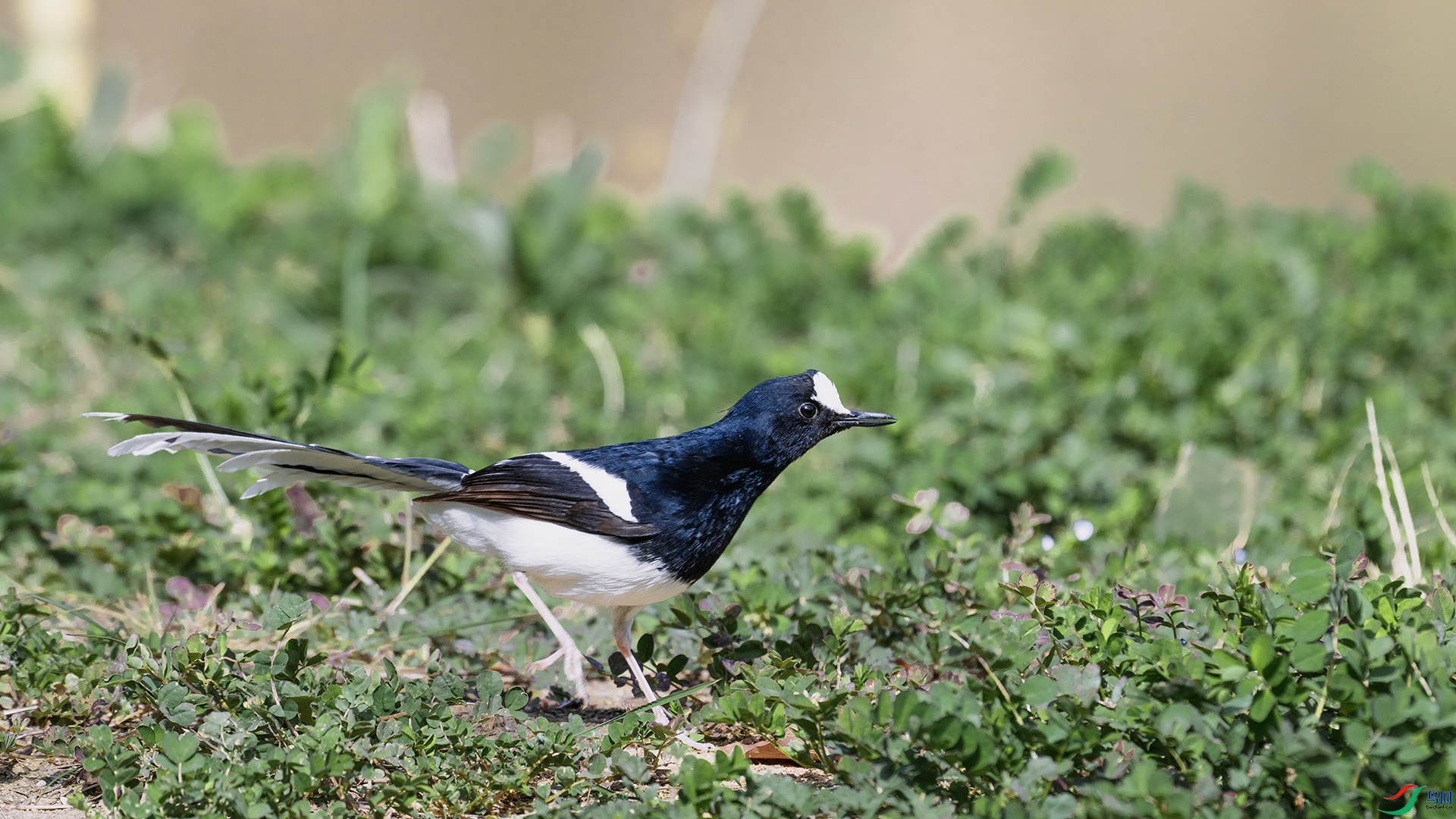 DSC_0276 ����.jpg