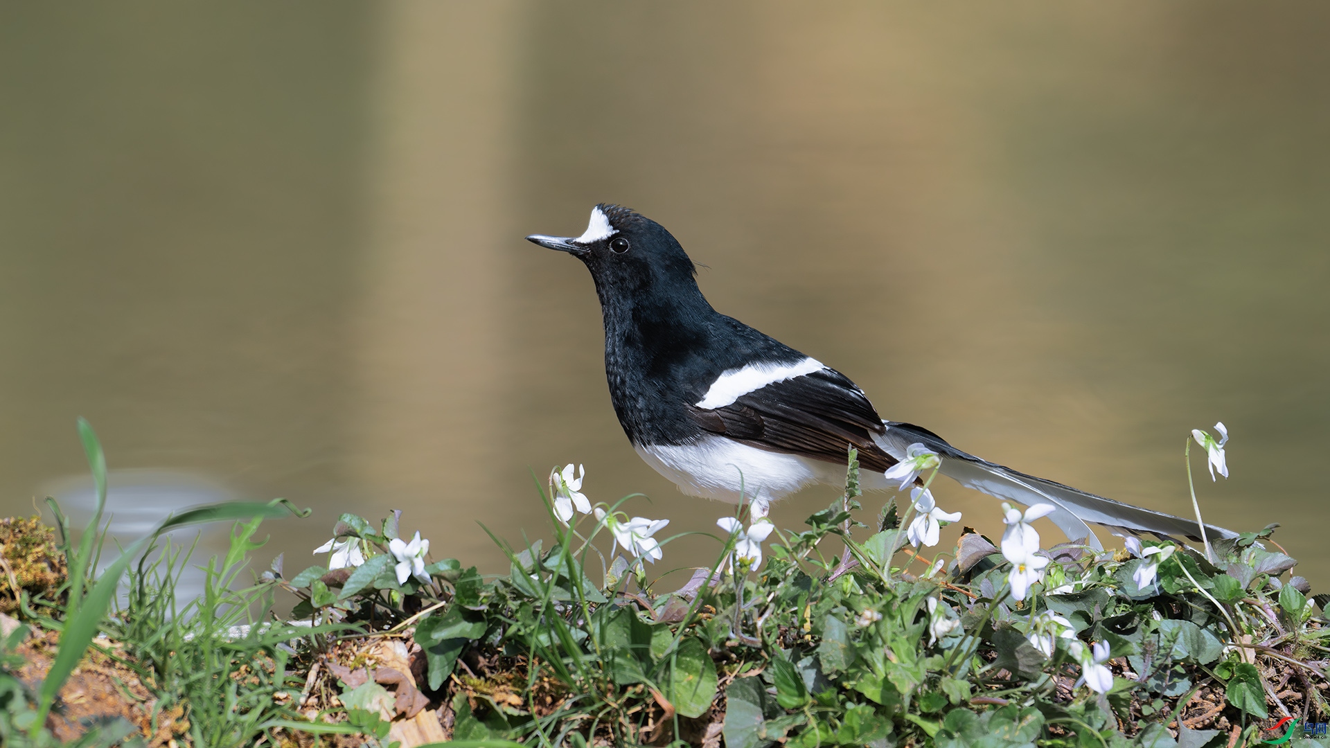 DSC_0391-����ǿ-NR ����.jpg