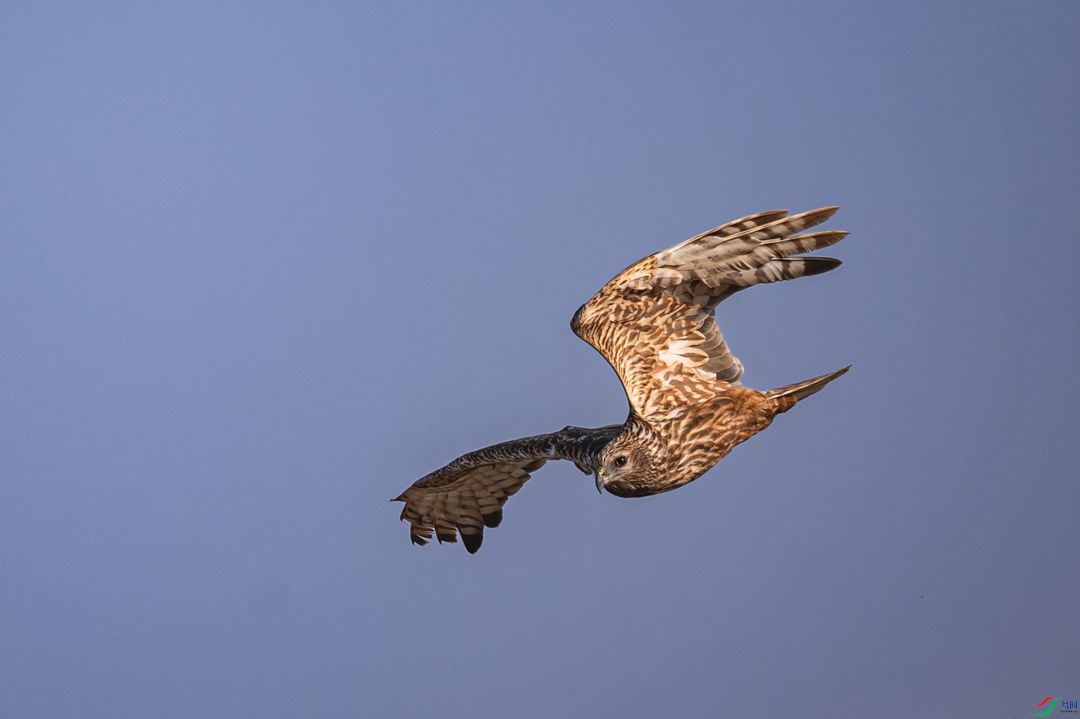 _DSC8173-����ǿ-NR (2).JPG