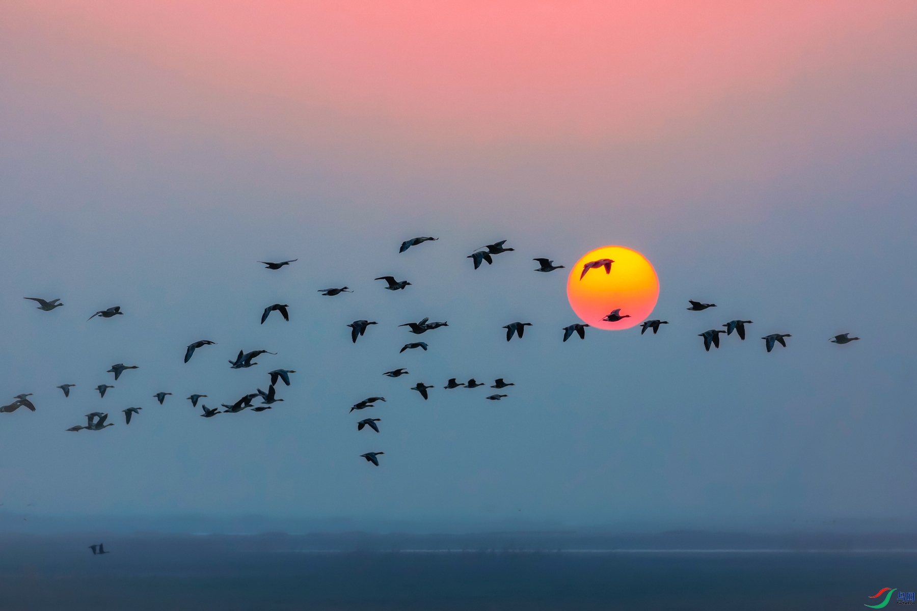 ����----���ɵ����