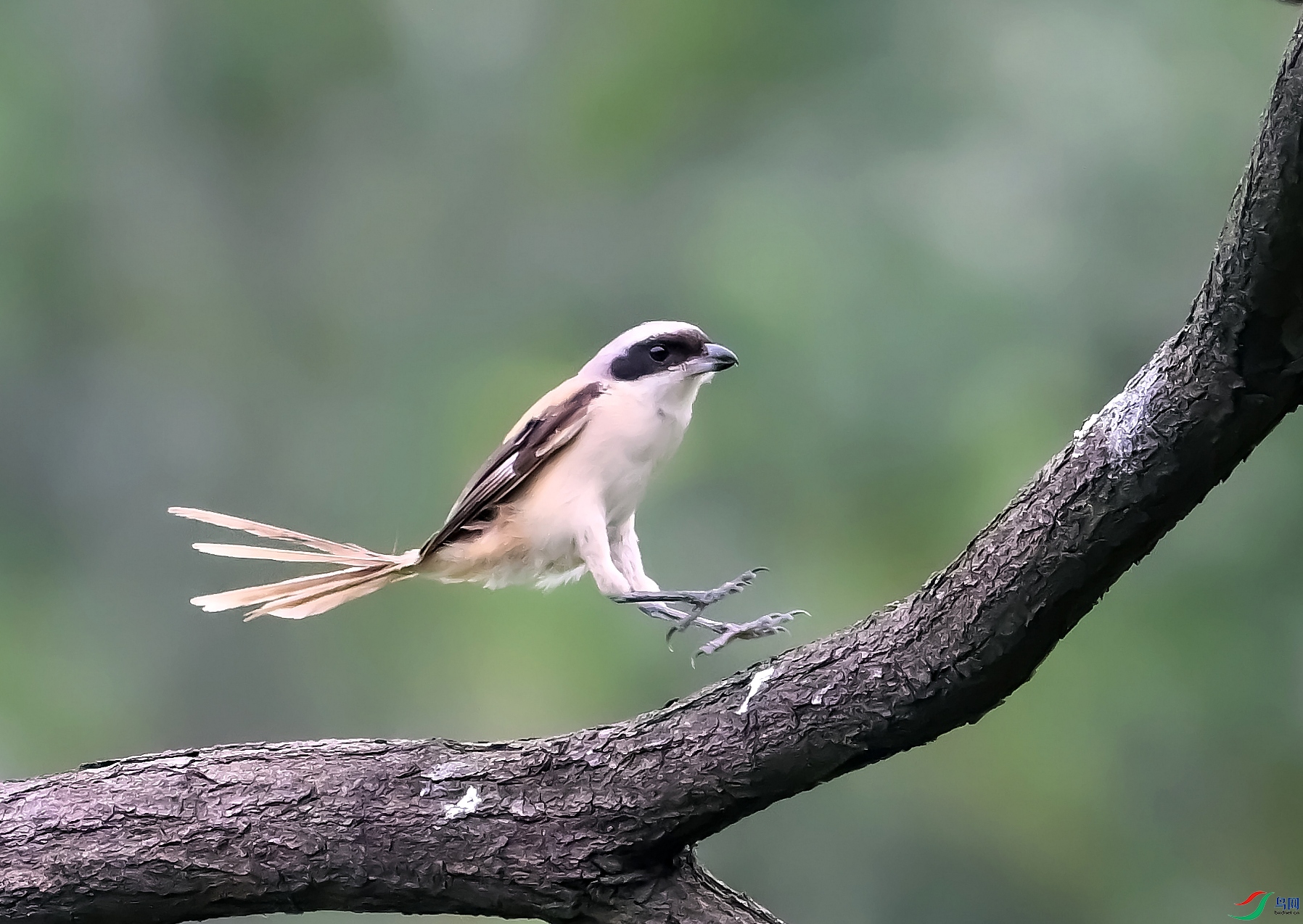 DSC_5884---_conew1.jpg