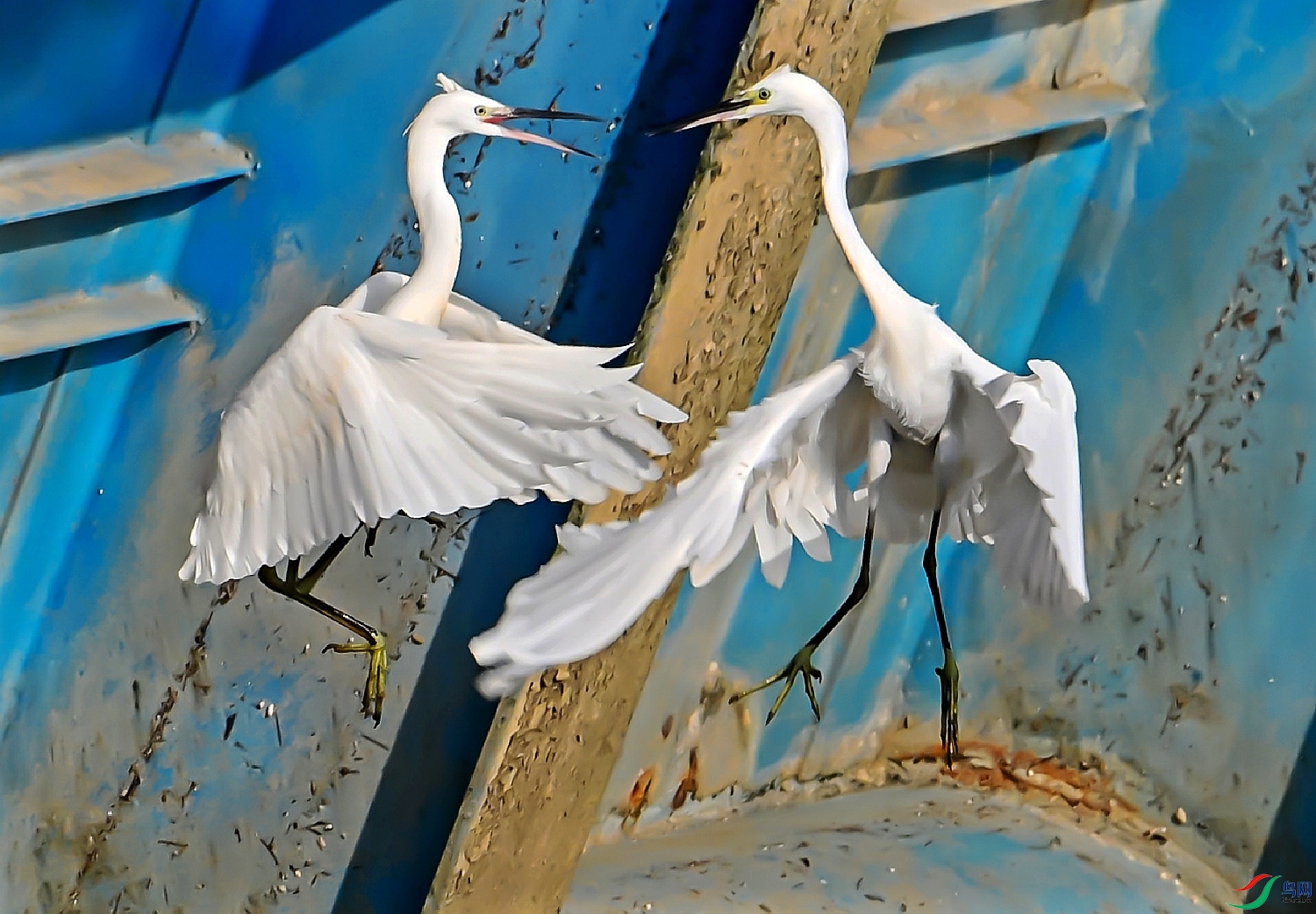 DSC_8651---_conew1.jpg