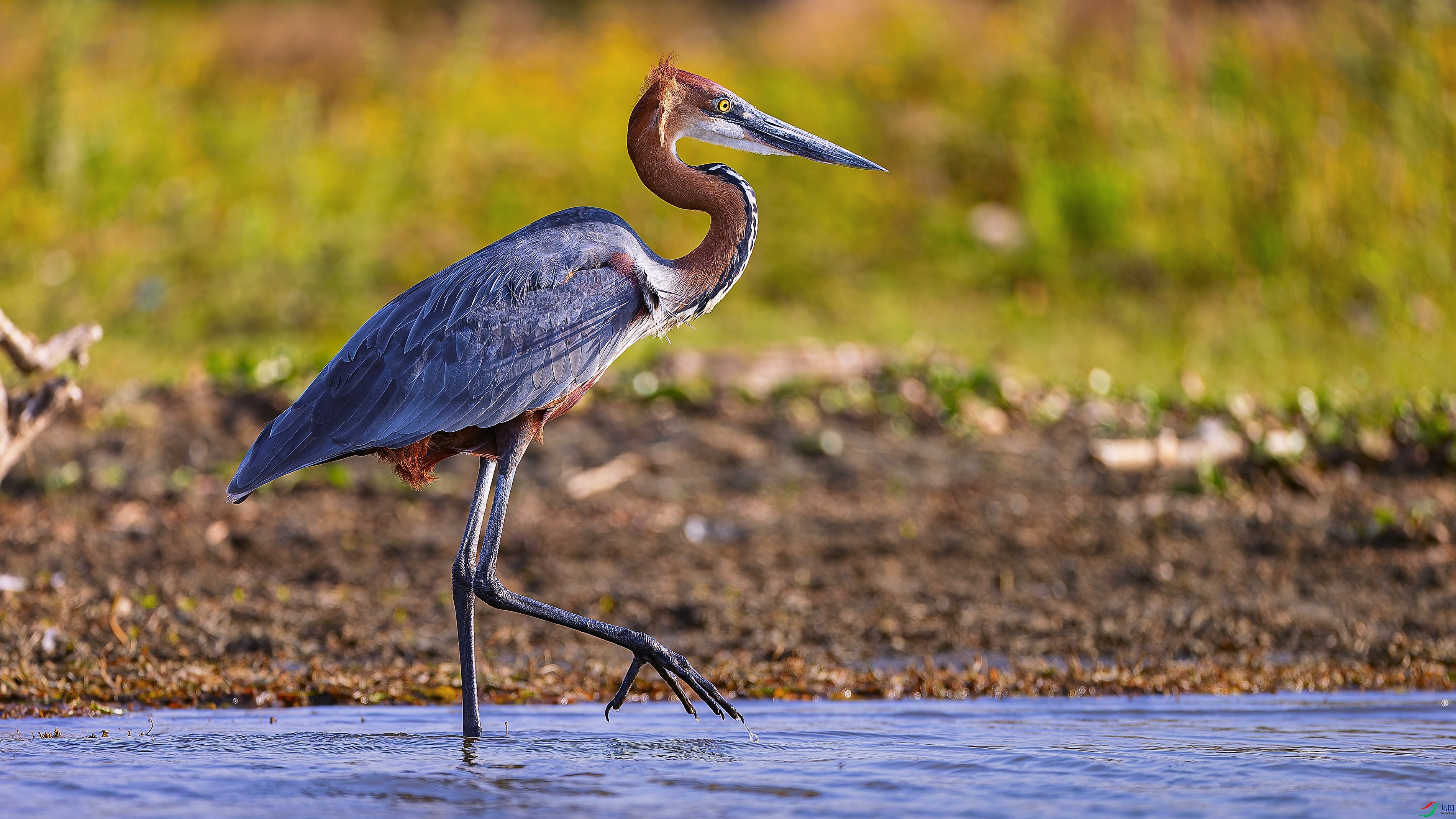 ��ˮ�о��ء�