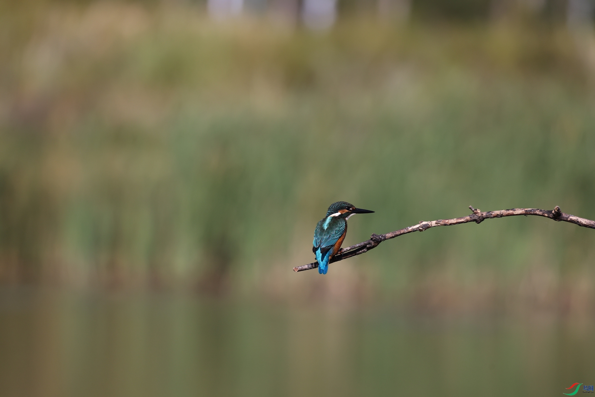 2F5A7820.JPG