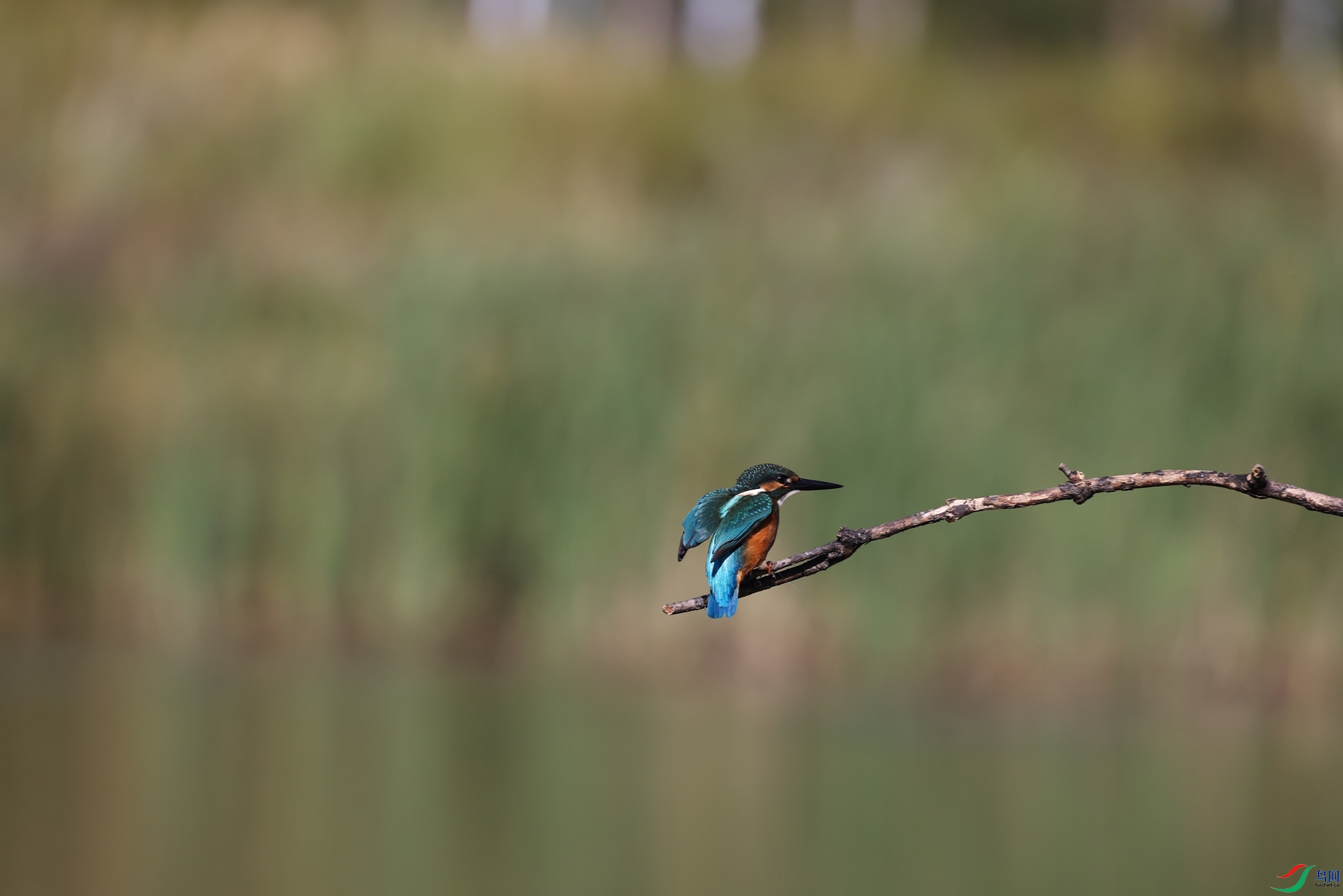 2F5A7821.JPG