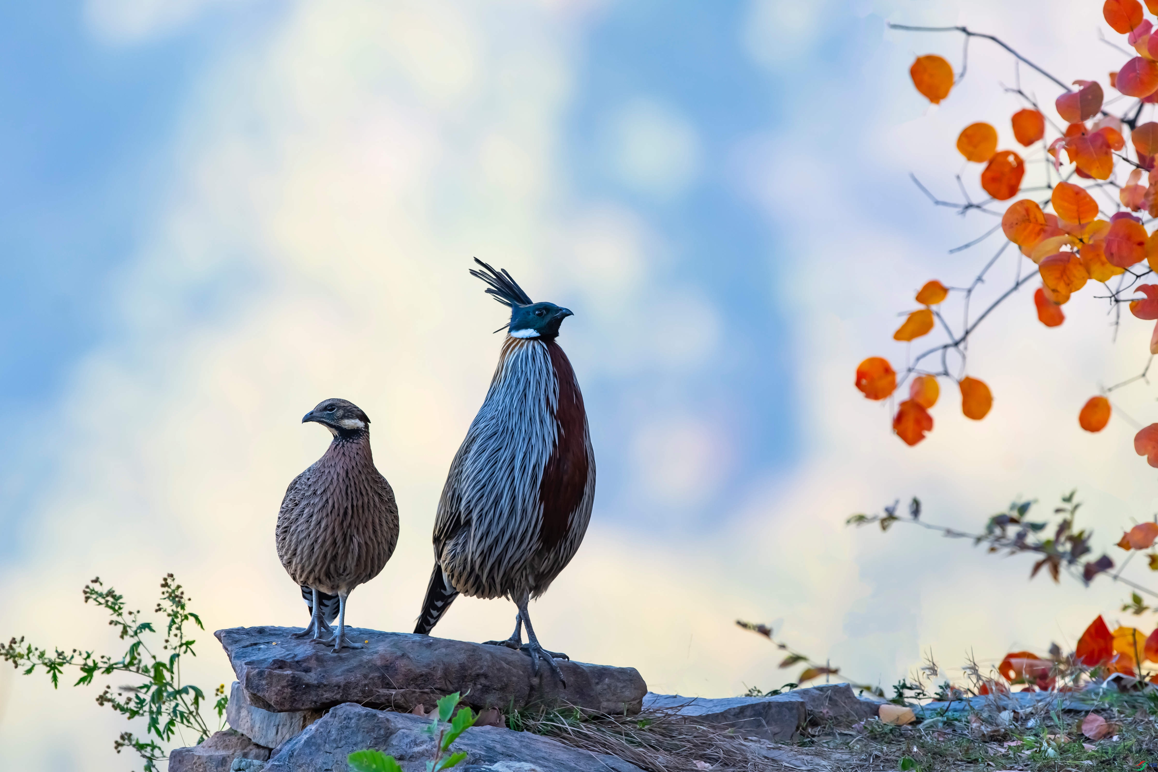 1��DSC_6402_����.jpg