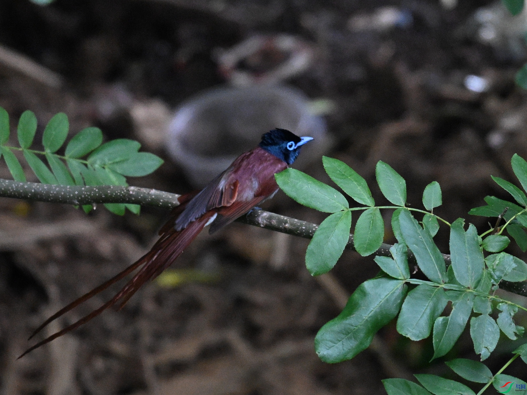 DSC_8177.JPG