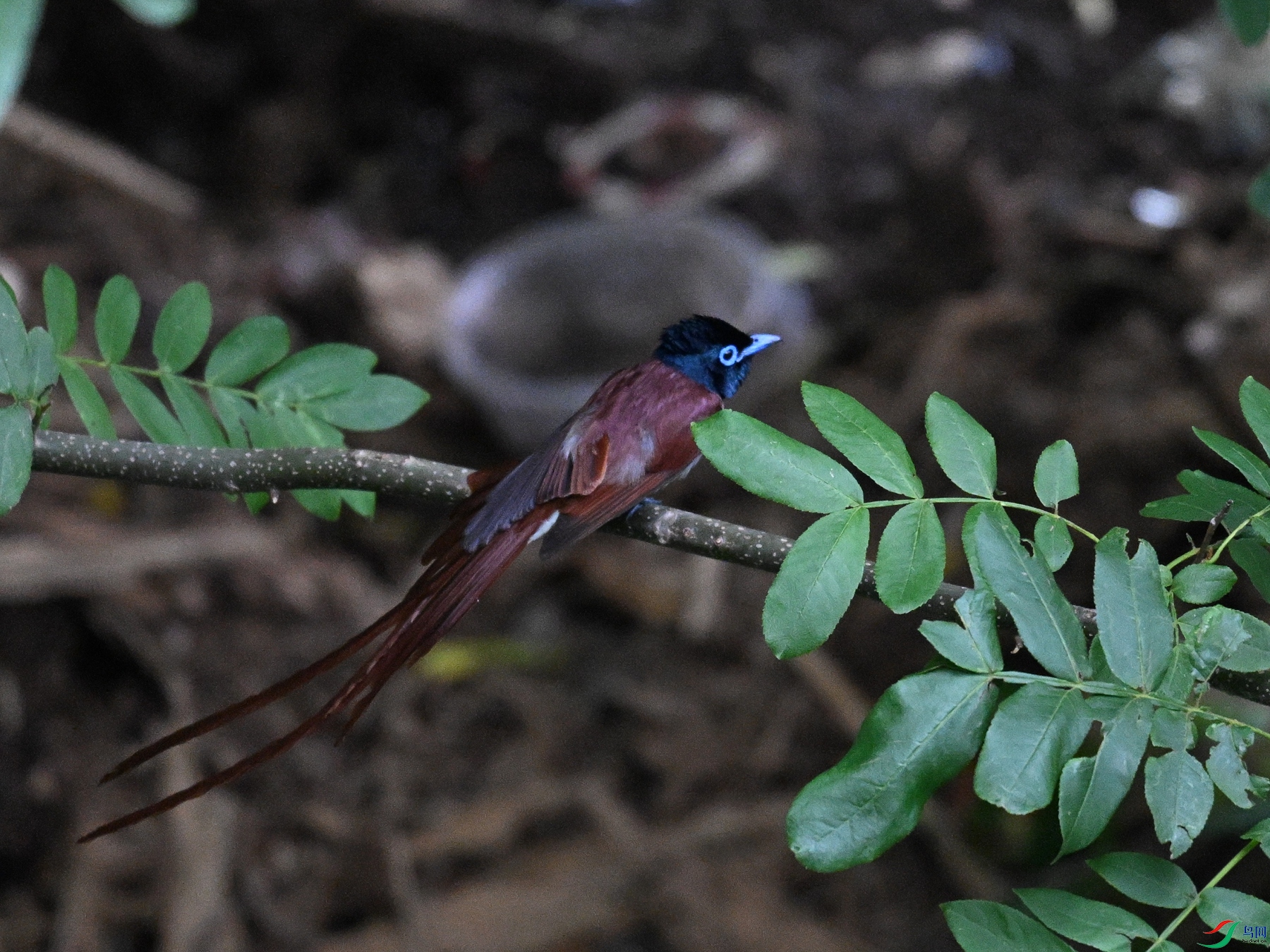 DSC_8179.JPG