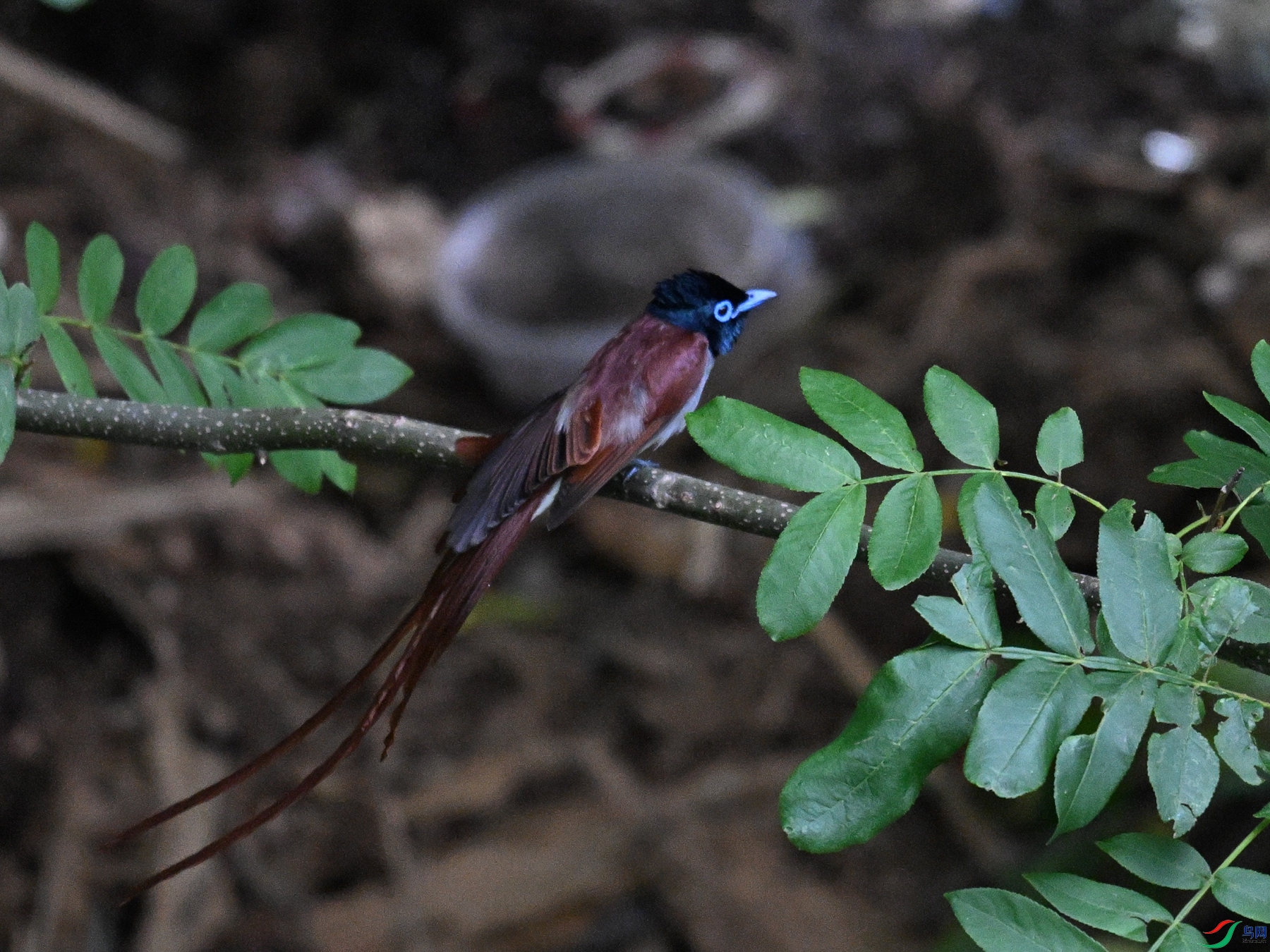 DSC_8191.JPG