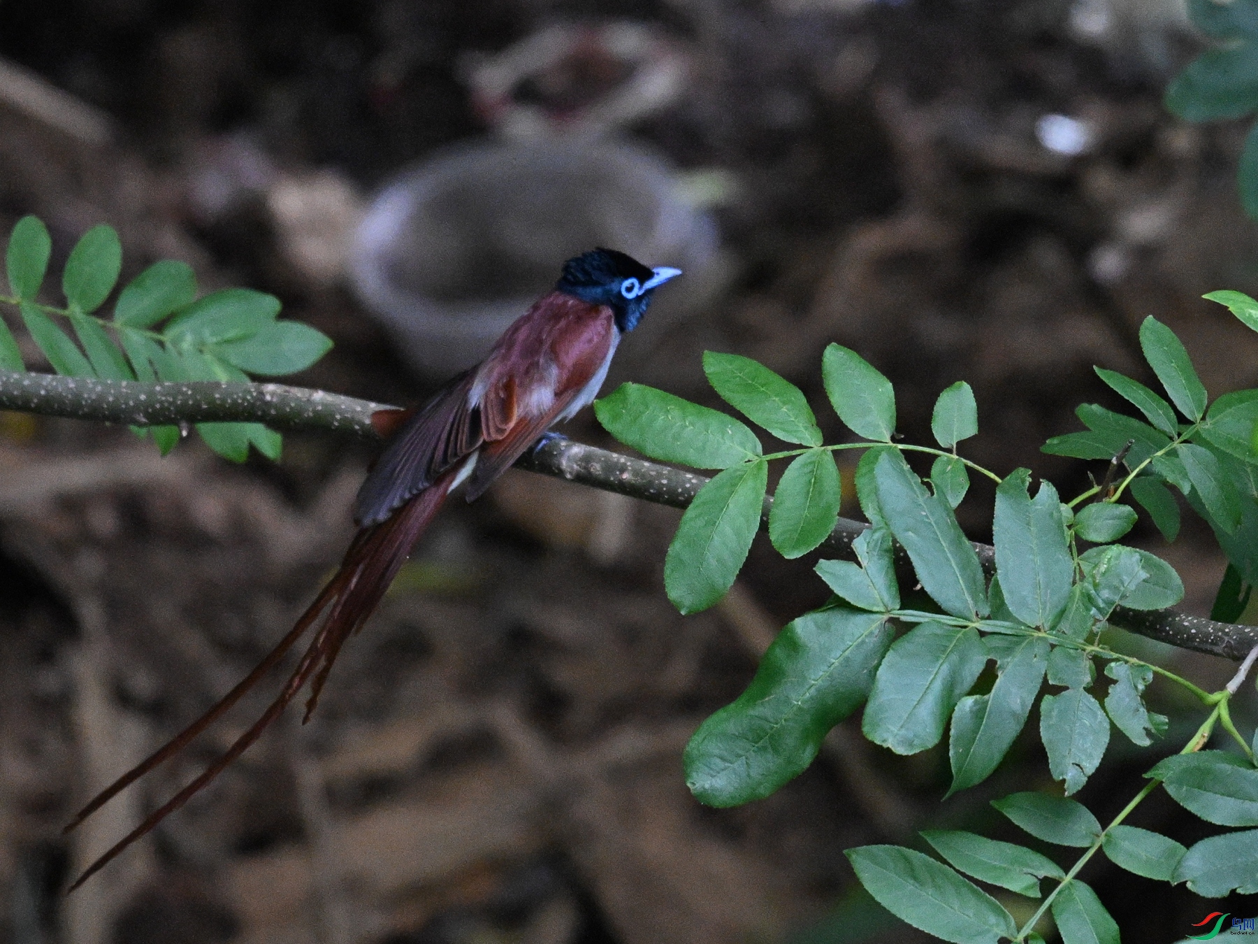 DSC_8193.JPG