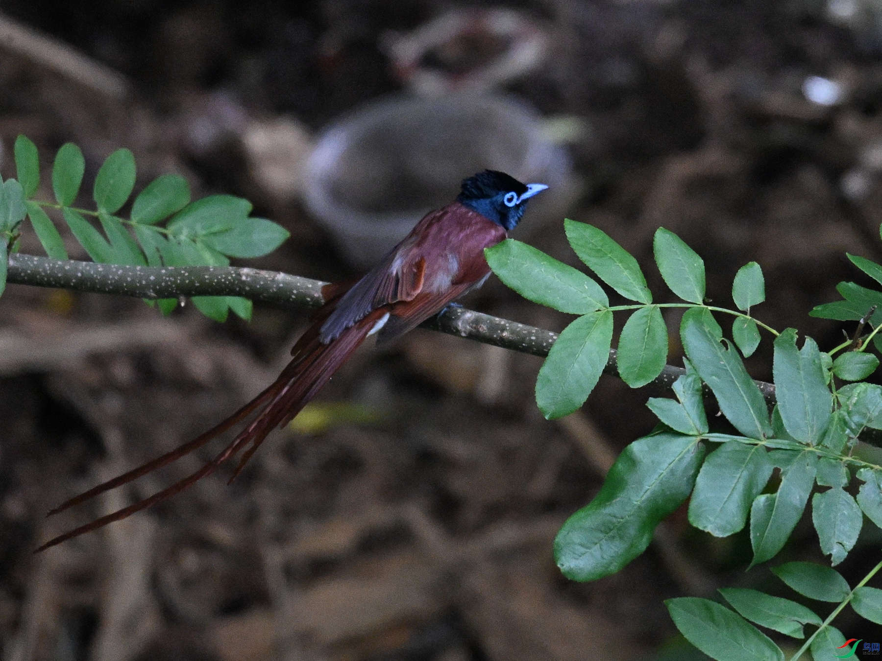 DSC_8181.JPG