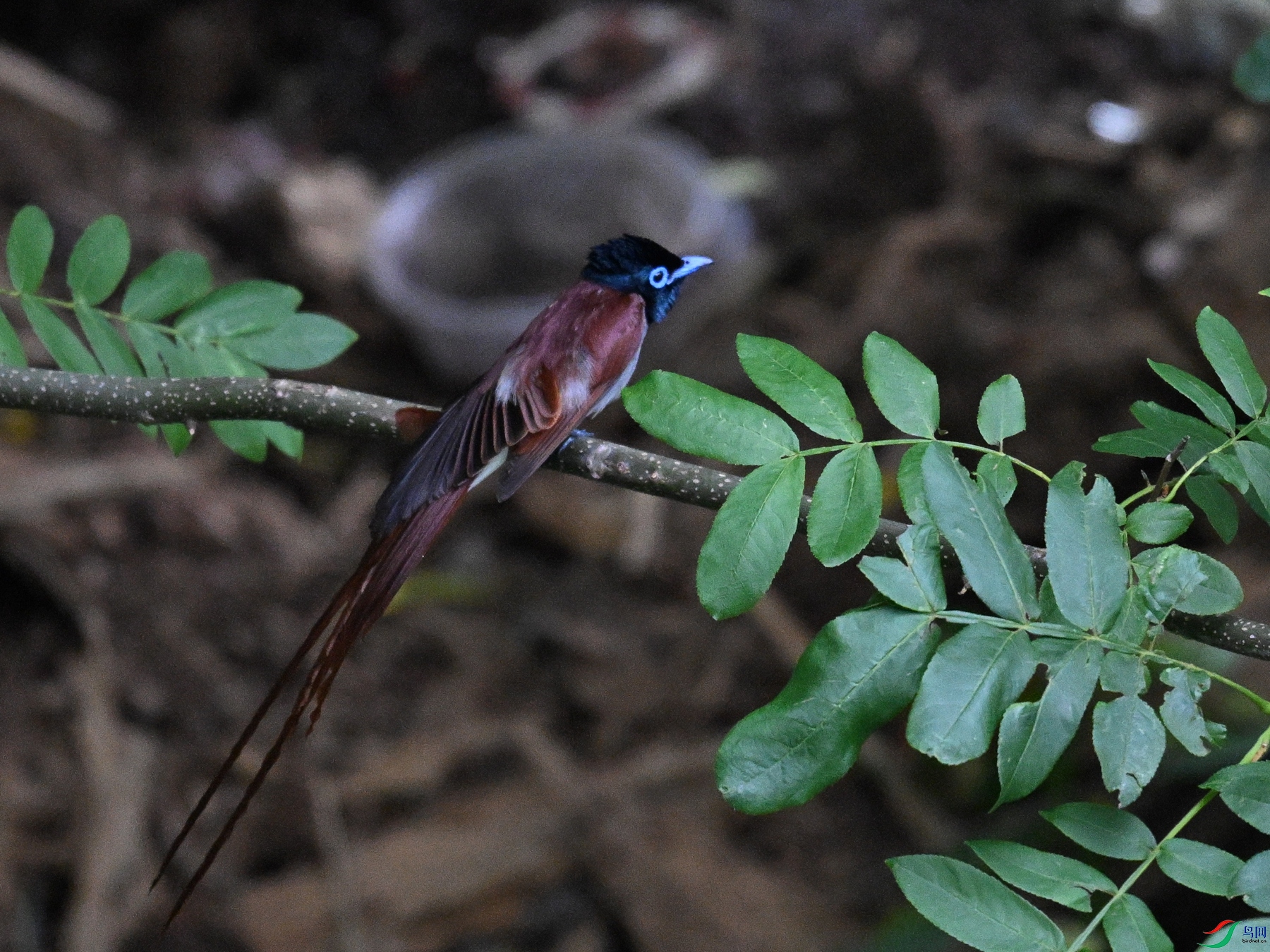 DSC_8198.JPG